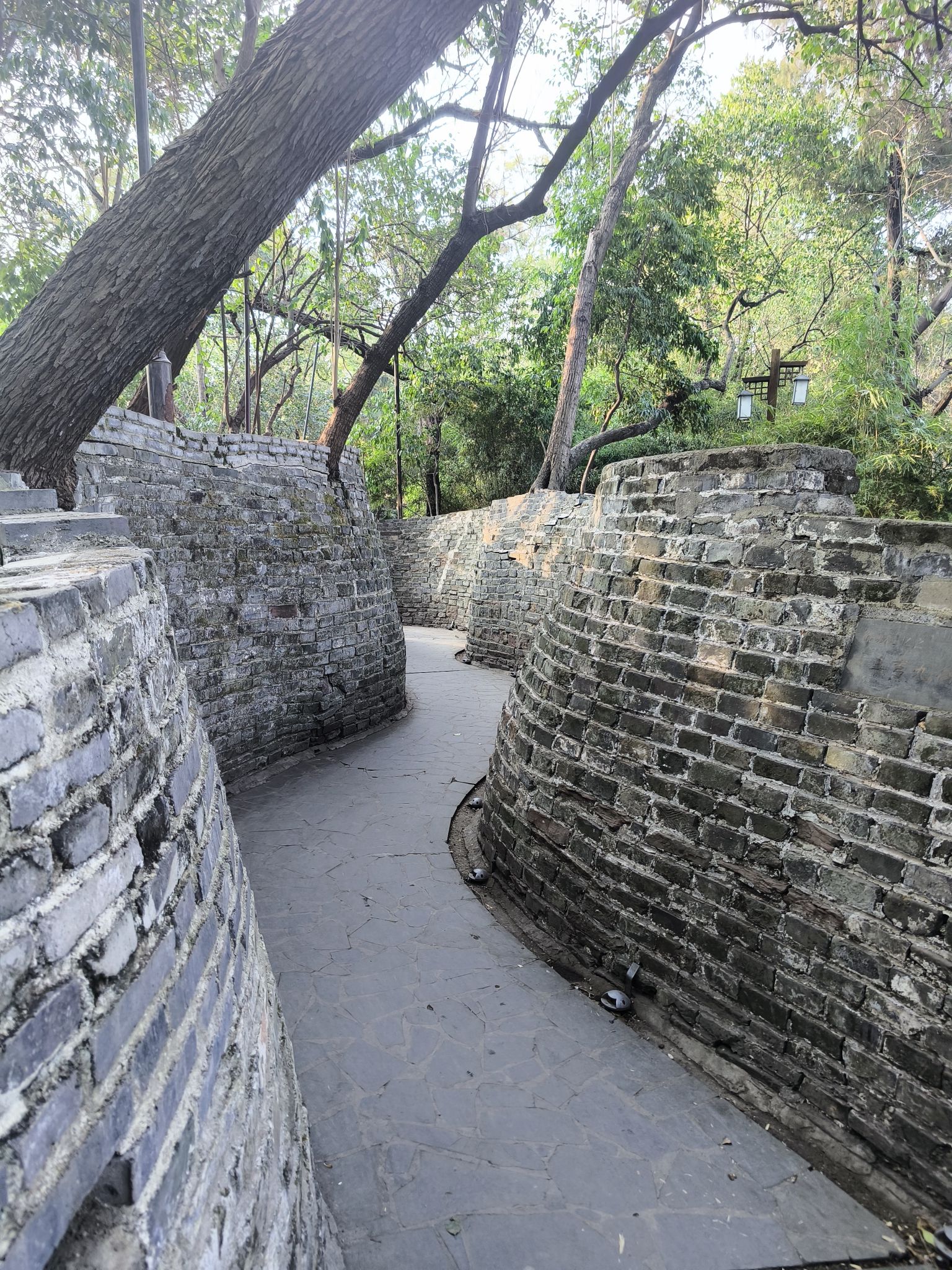 房湖公园旅行图片 3