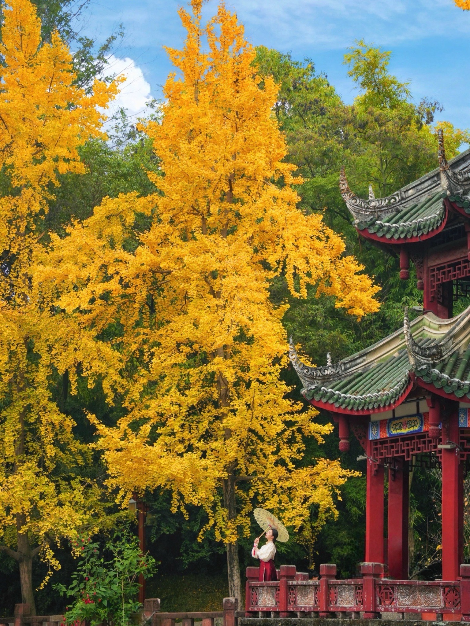 房湖公园旅行图片 2