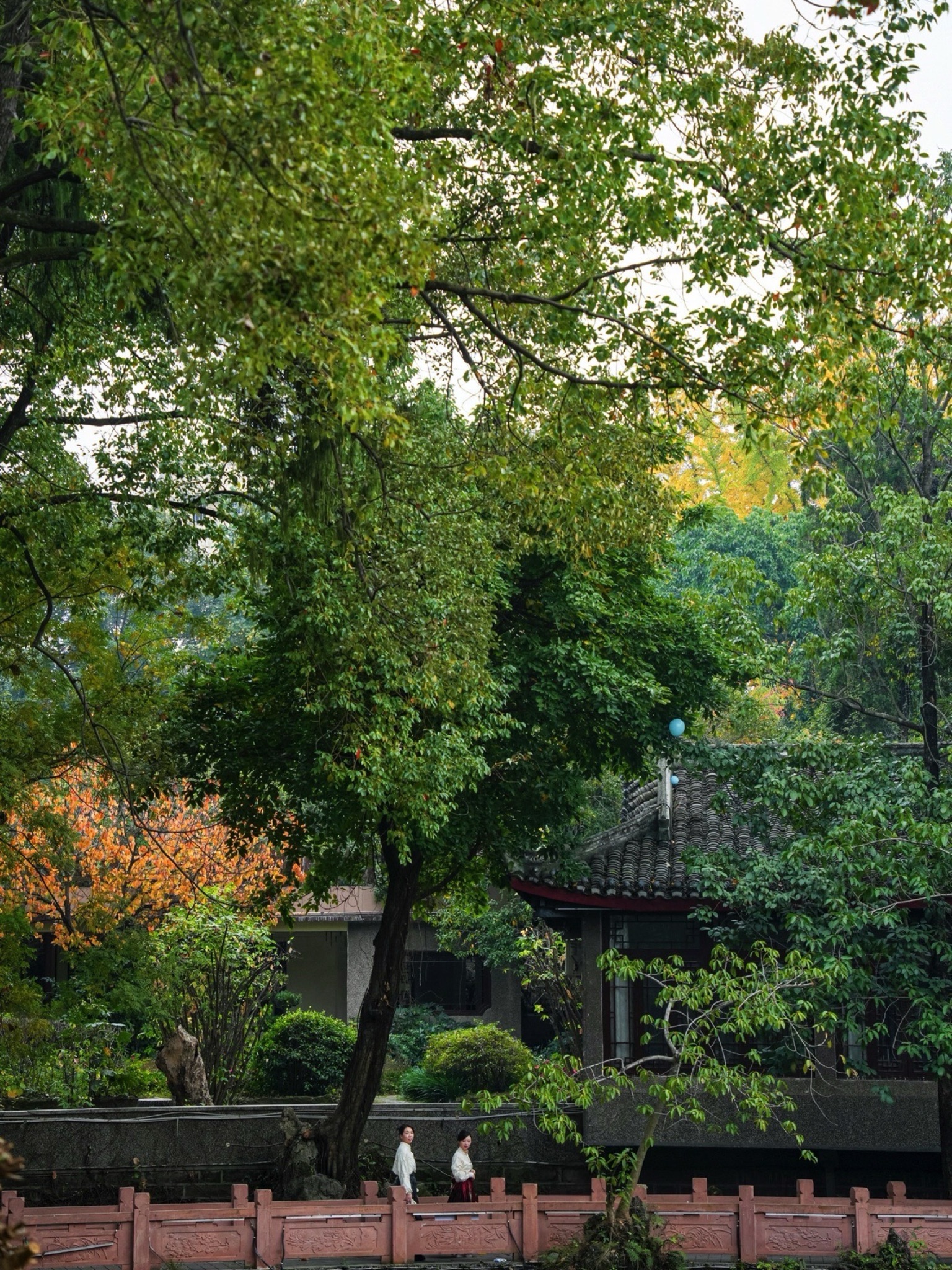 房湖公园旅行图片 3