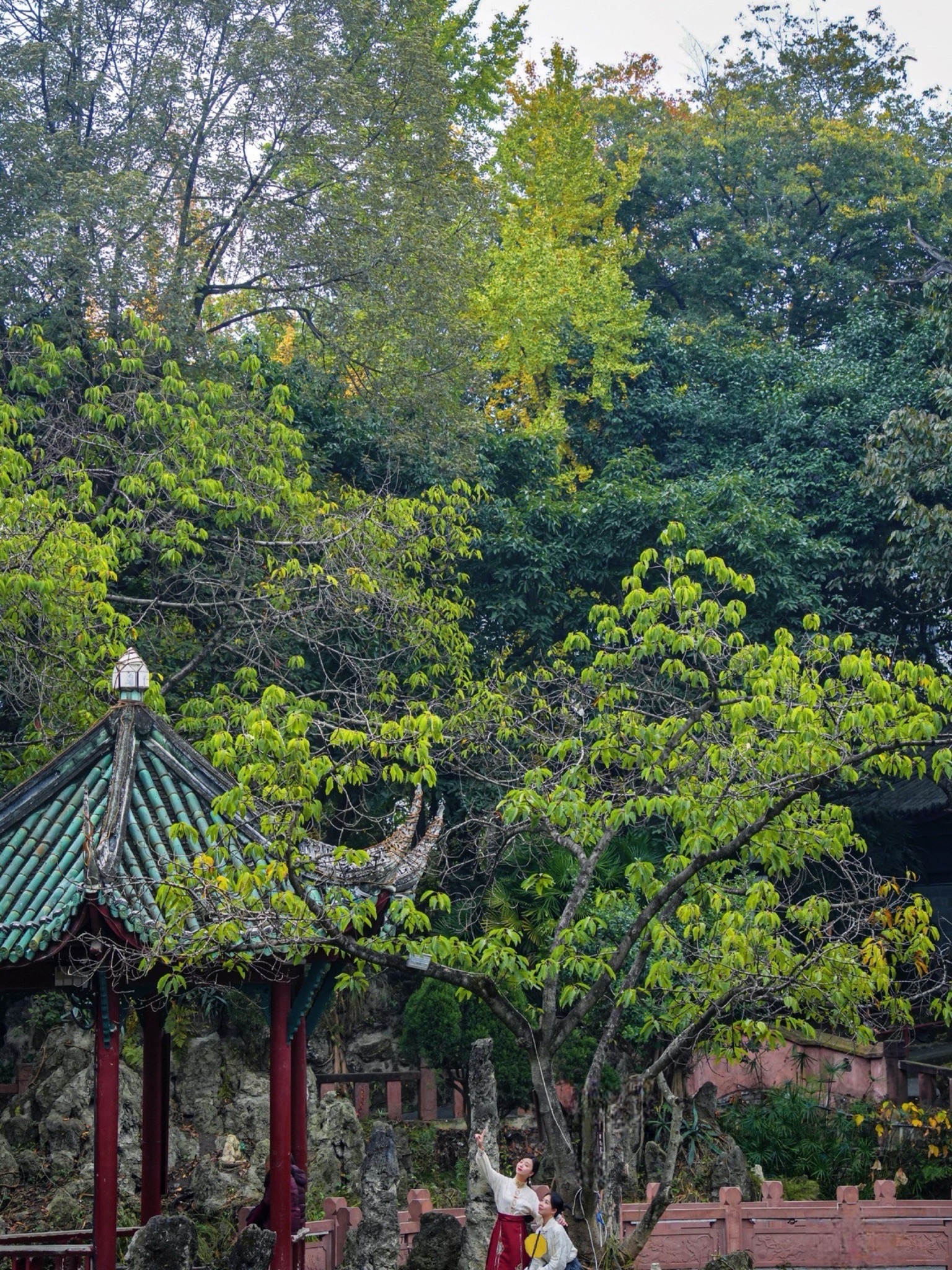 房湖公园旅行图片 1