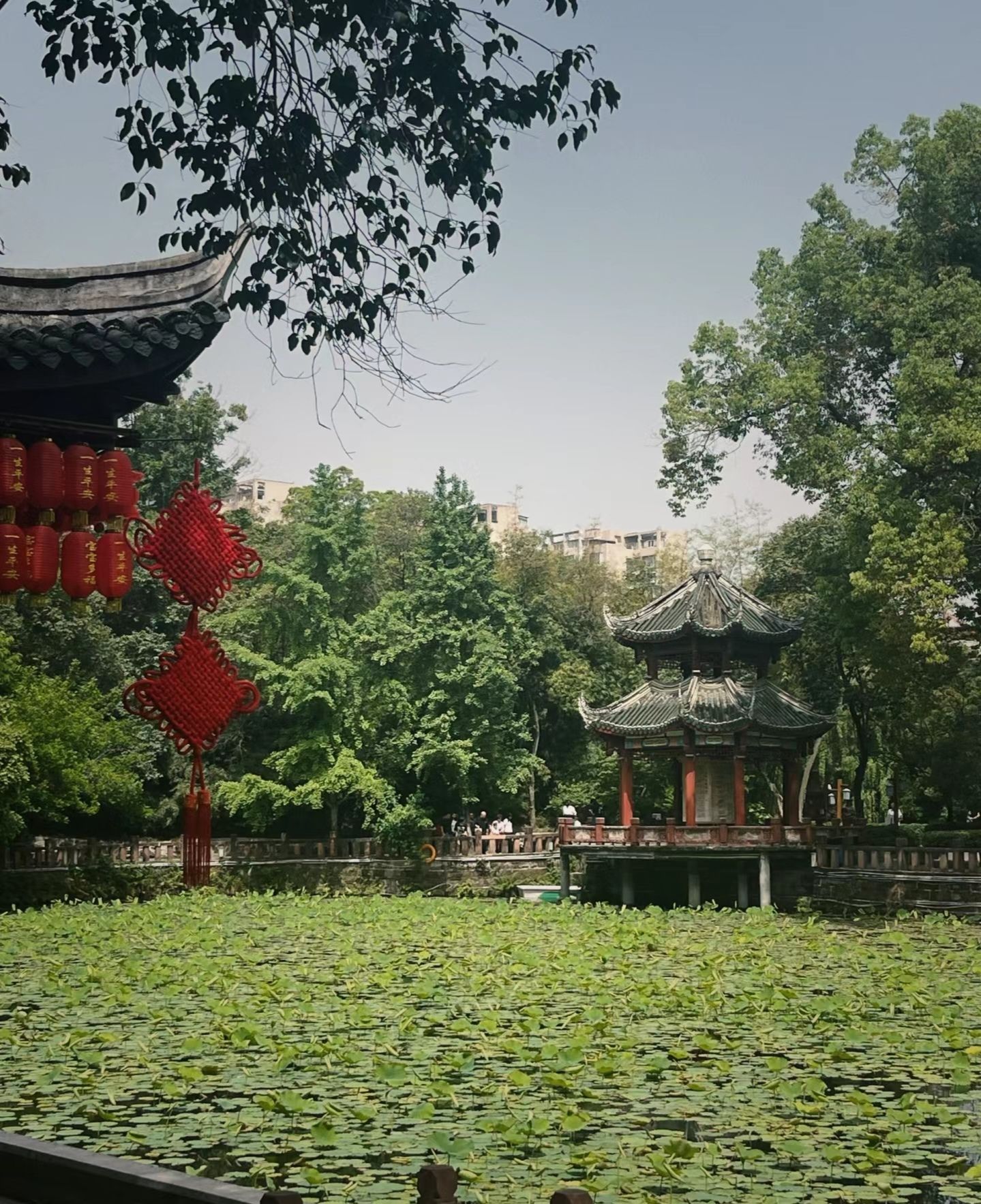 房湖公园旅行图片 2