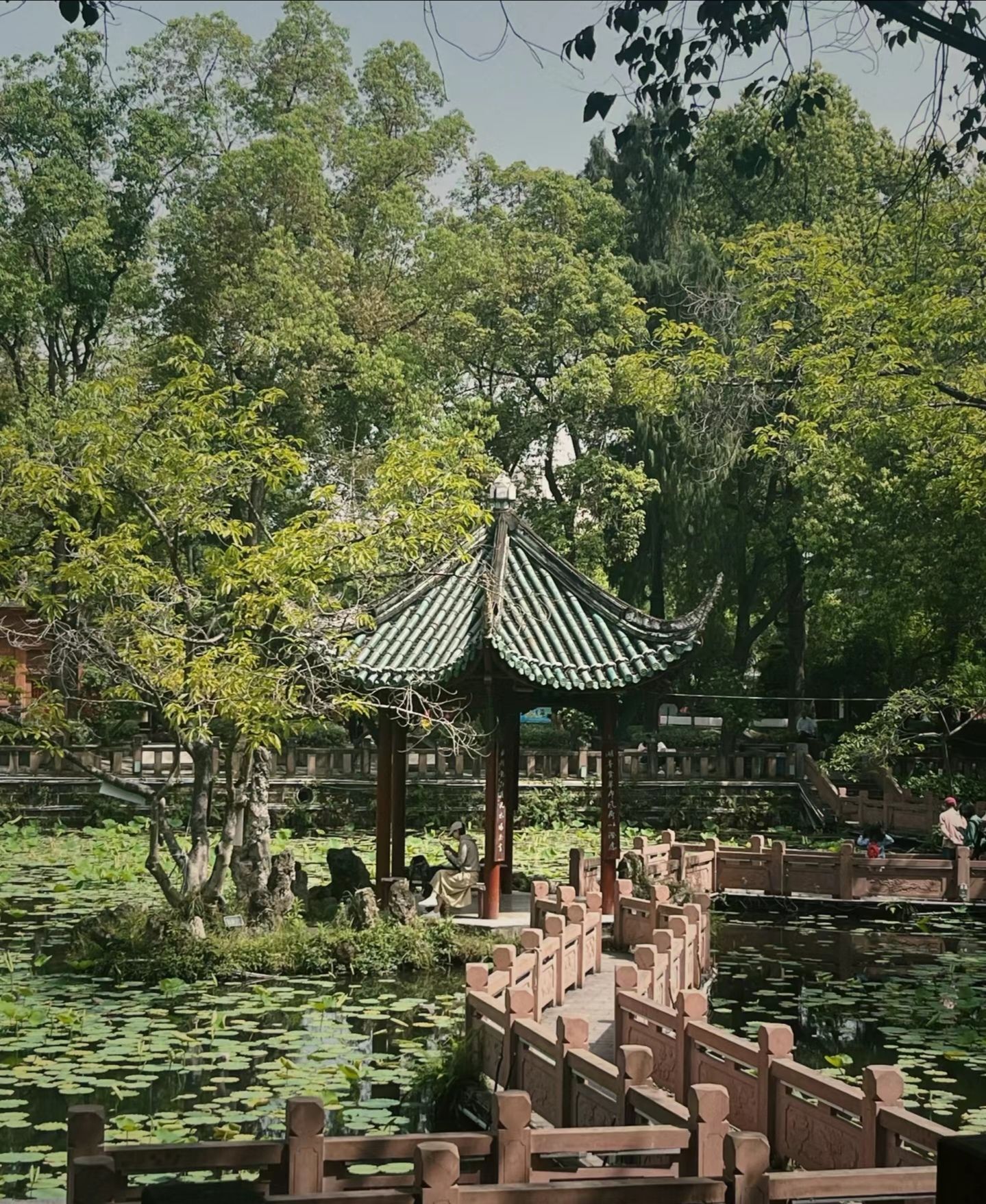 房湖公园旅行图片 3