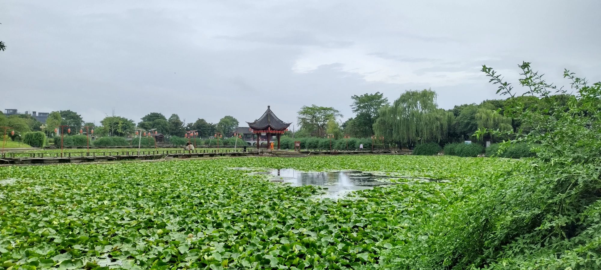 马祖故里旅行图片 3