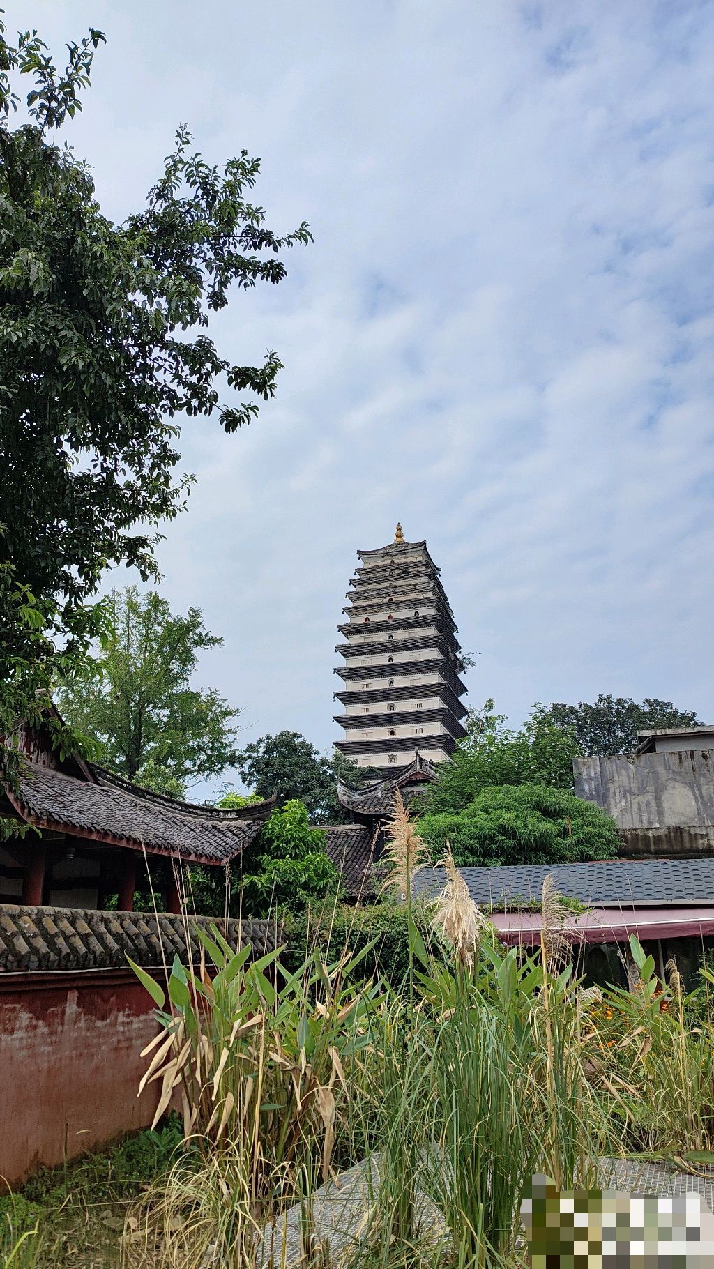孝泉镇旅行图片 1