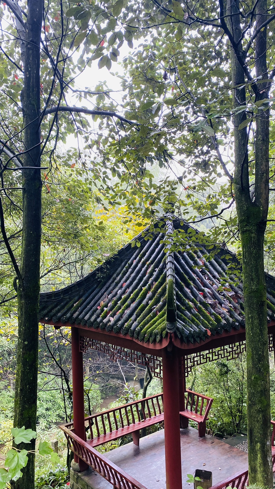九龙山乡村旅游景区旅行图片 3