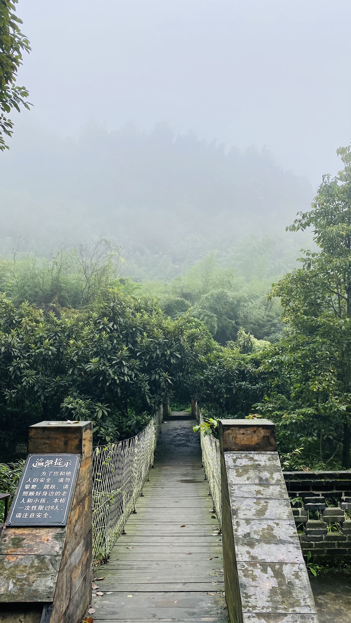 九龙山乡村旅游景区旅行图片 1