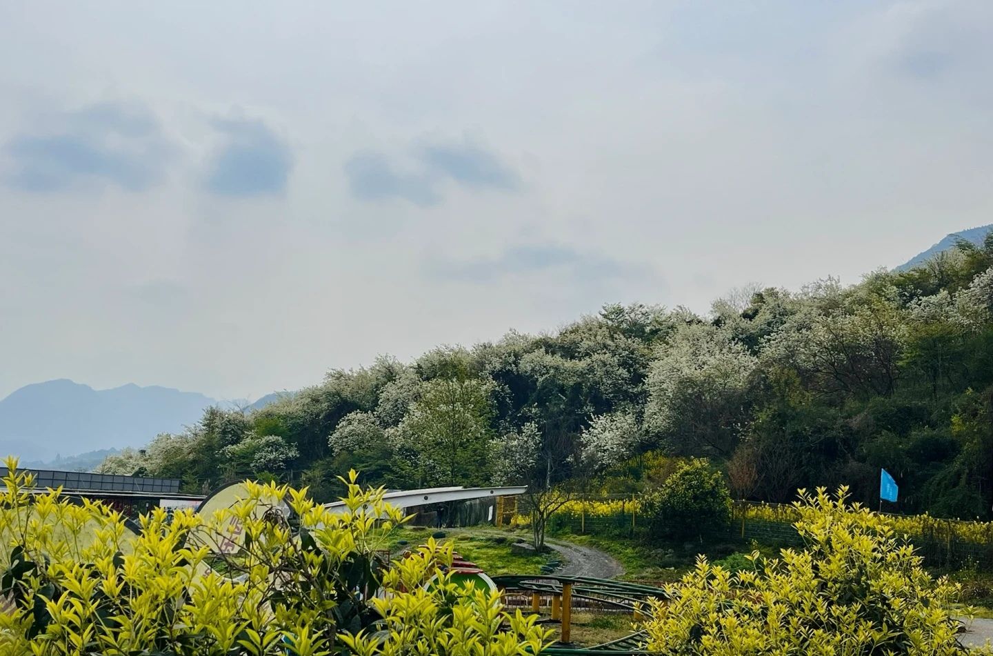 九龙山乡村旅游景区旅行图片 2