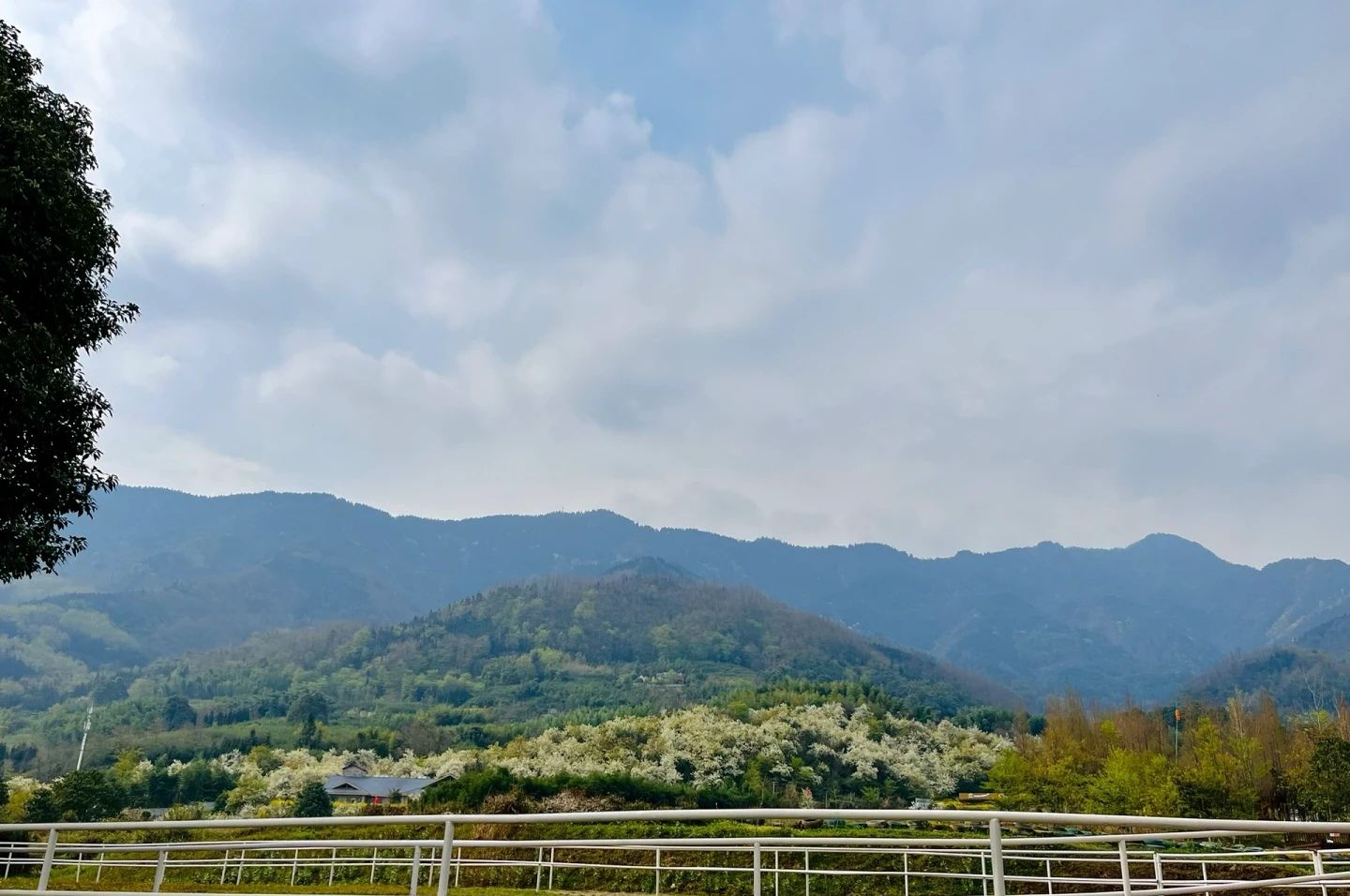 九龙山乡村旅游景区旅行图片 3