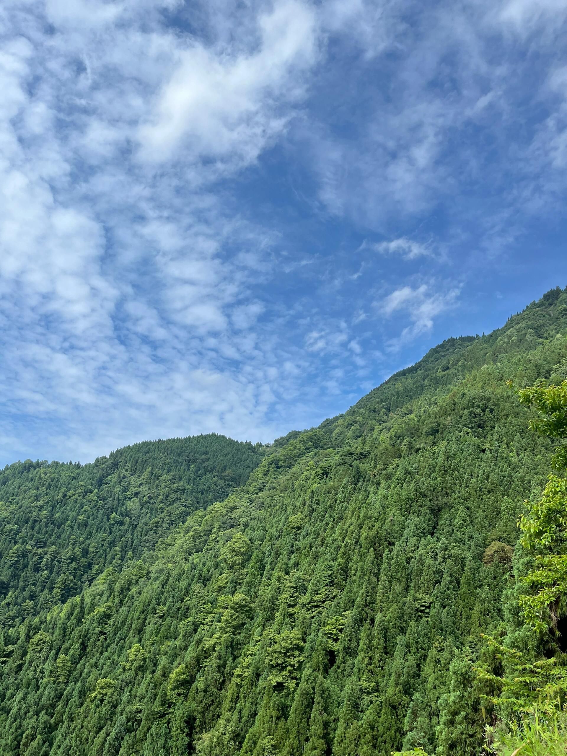 九龙山乡村旅游景区