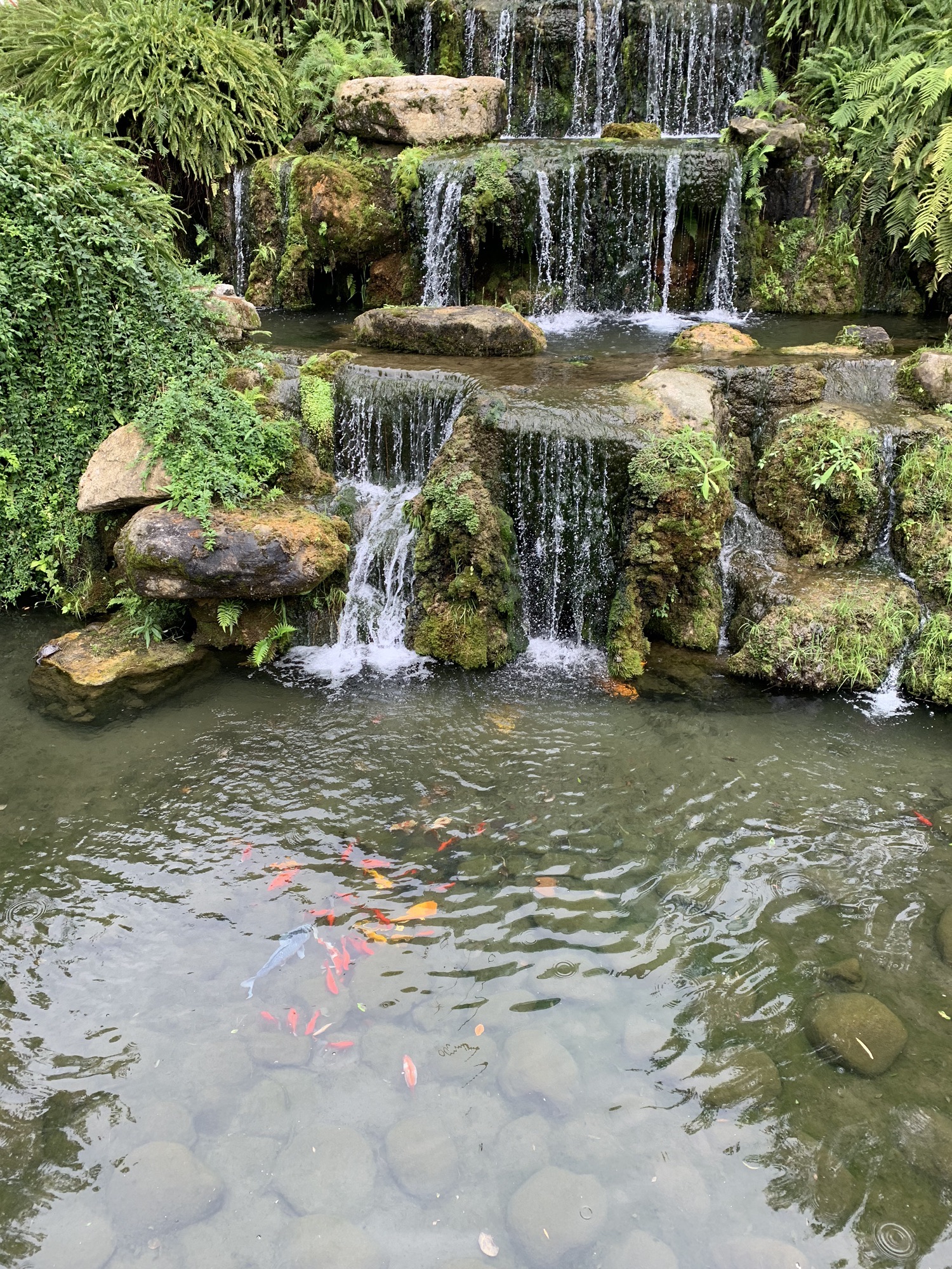 月亮泉公园旅行图片 2