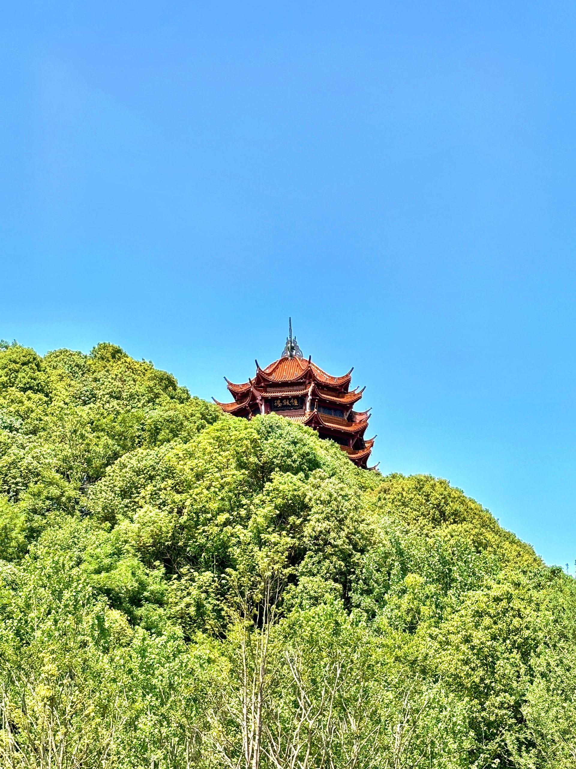 钟鼓楼旅行图片 1