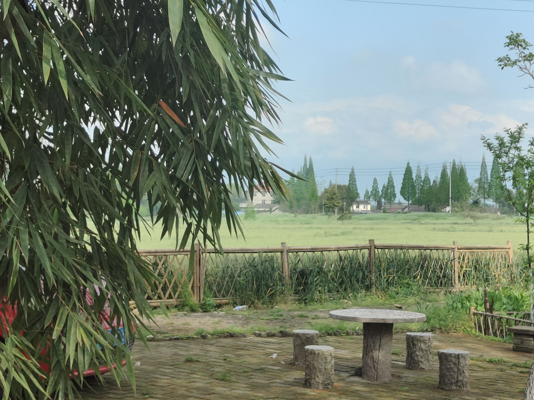 中国绵竹年画村旅行图片 1