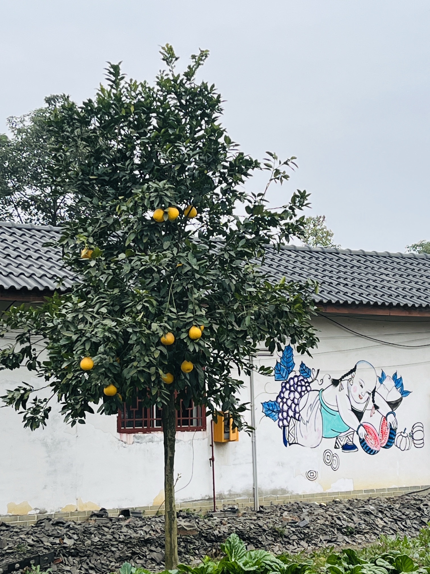 中国绵竹年画村旅行图片 1