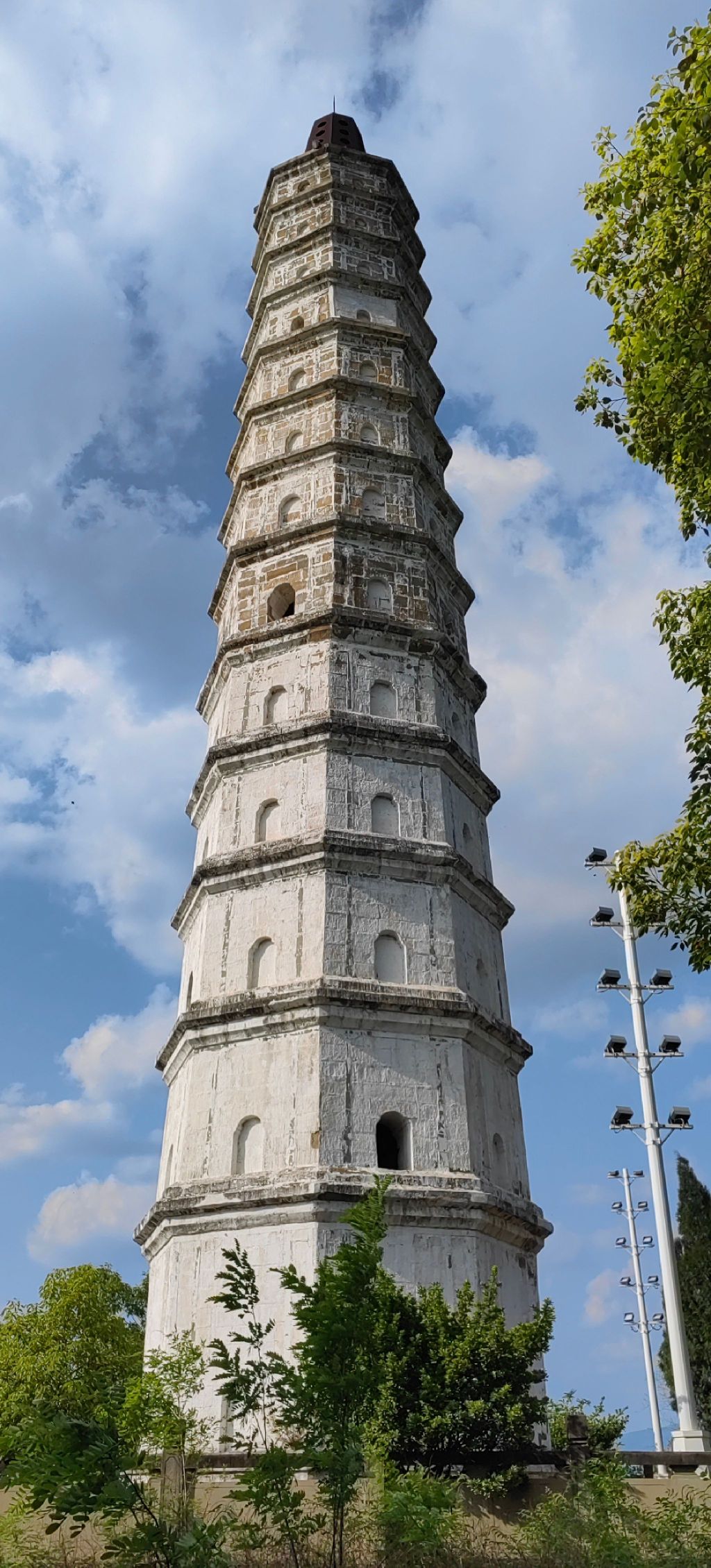 来雁塔旅行图片 1
