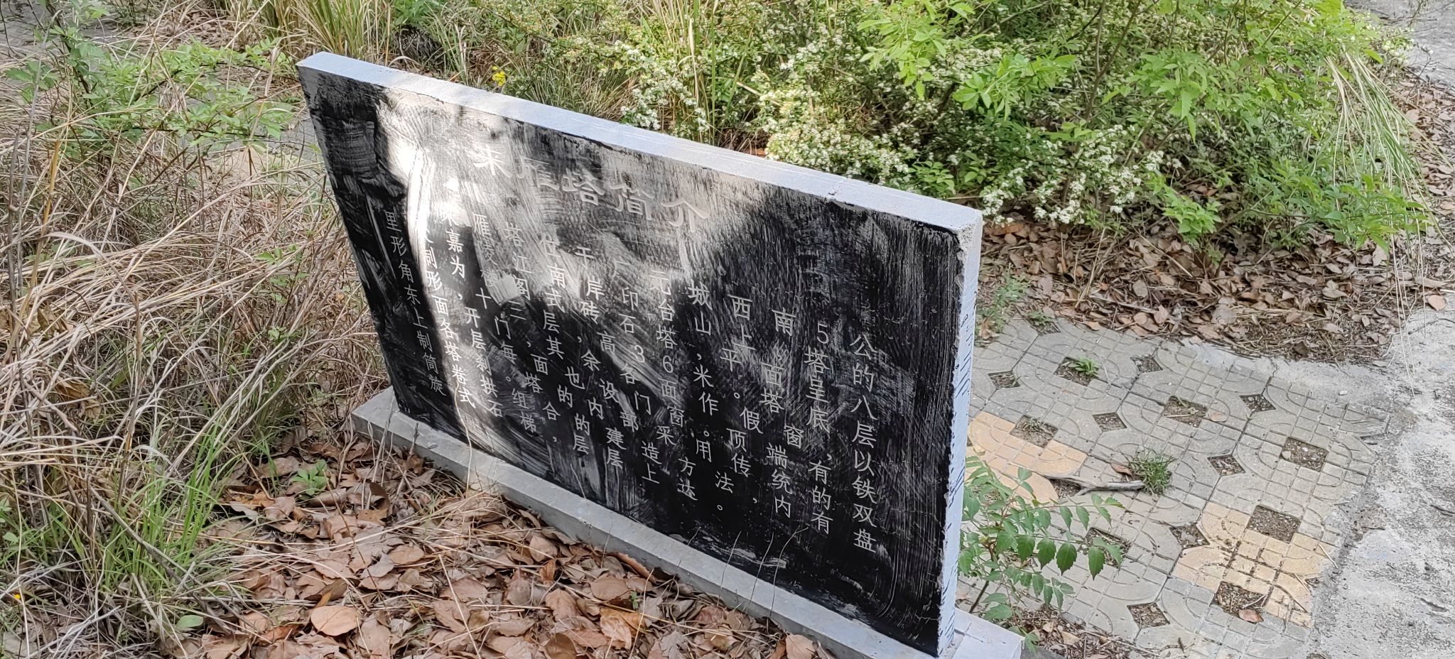 来雁塔旅行图片 2