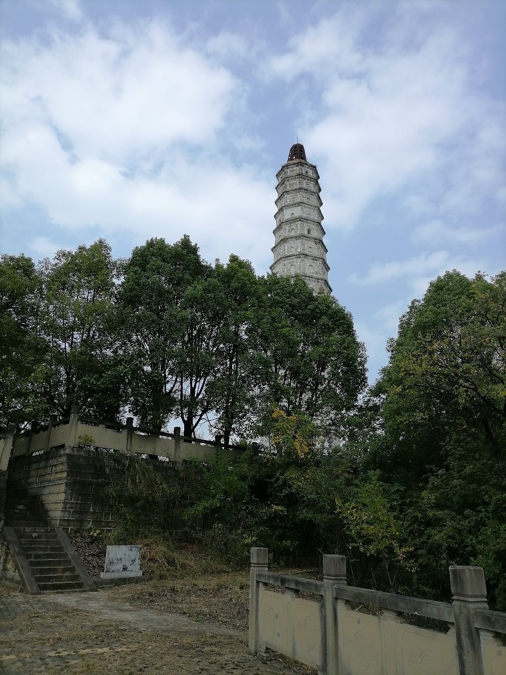 来雁塔旅行图片 1