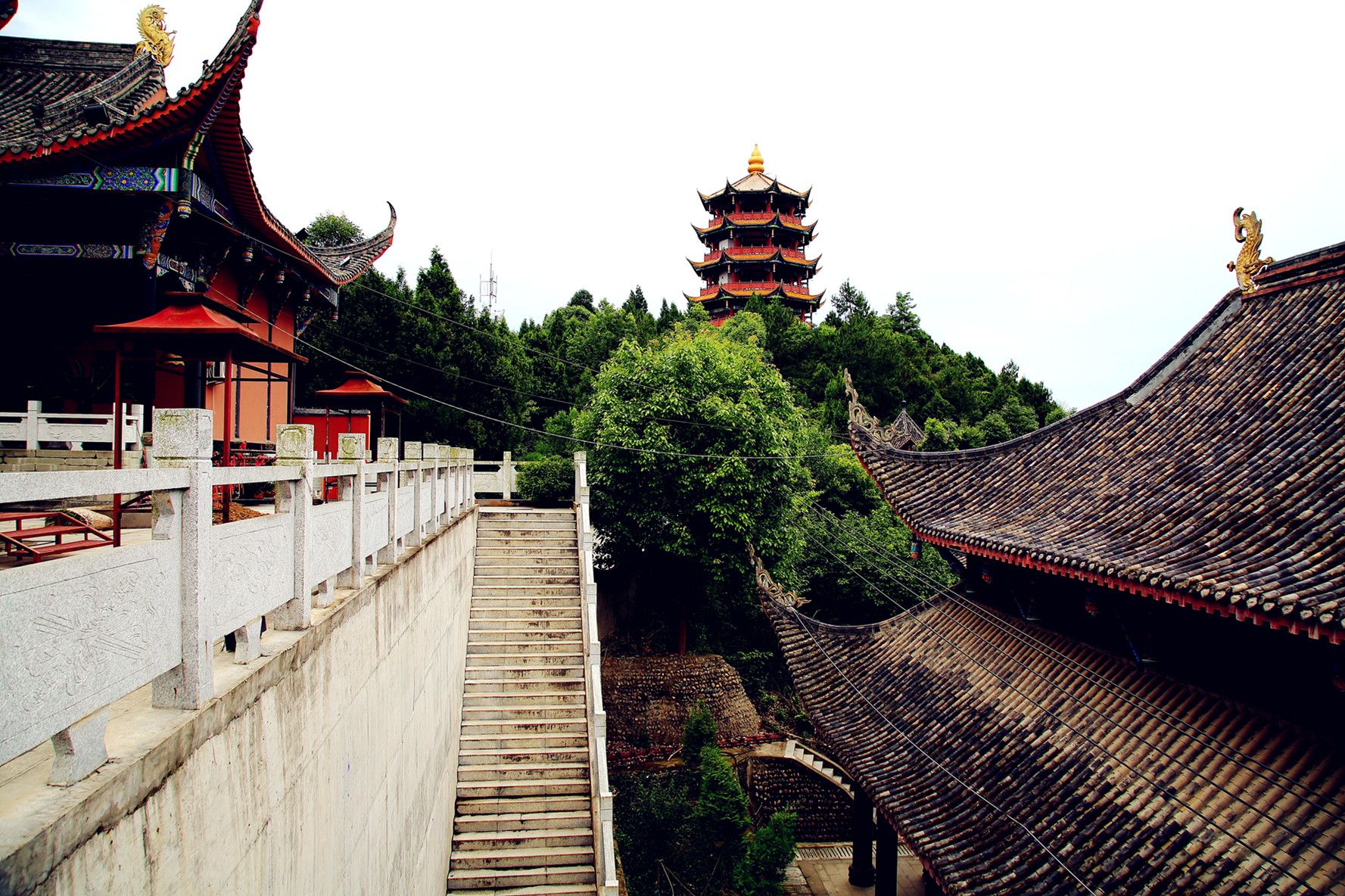 四川省苍溪县武当山公园旅行图片 1