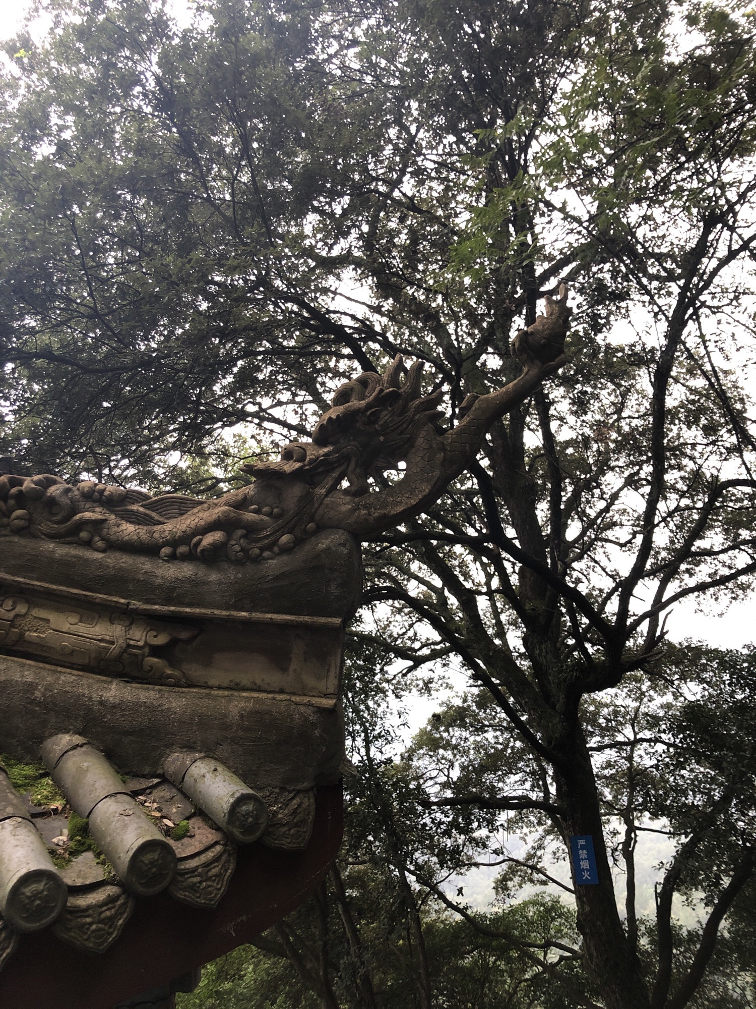 云台山旅行图片 3