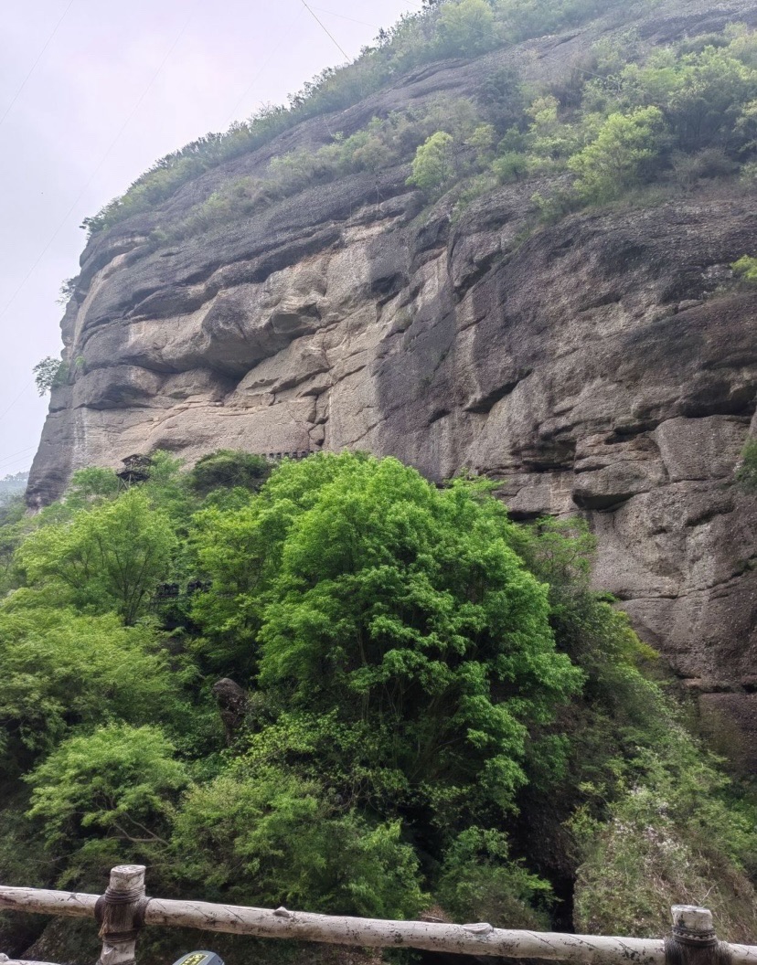 剑门关国家森林公园旅行图片 1