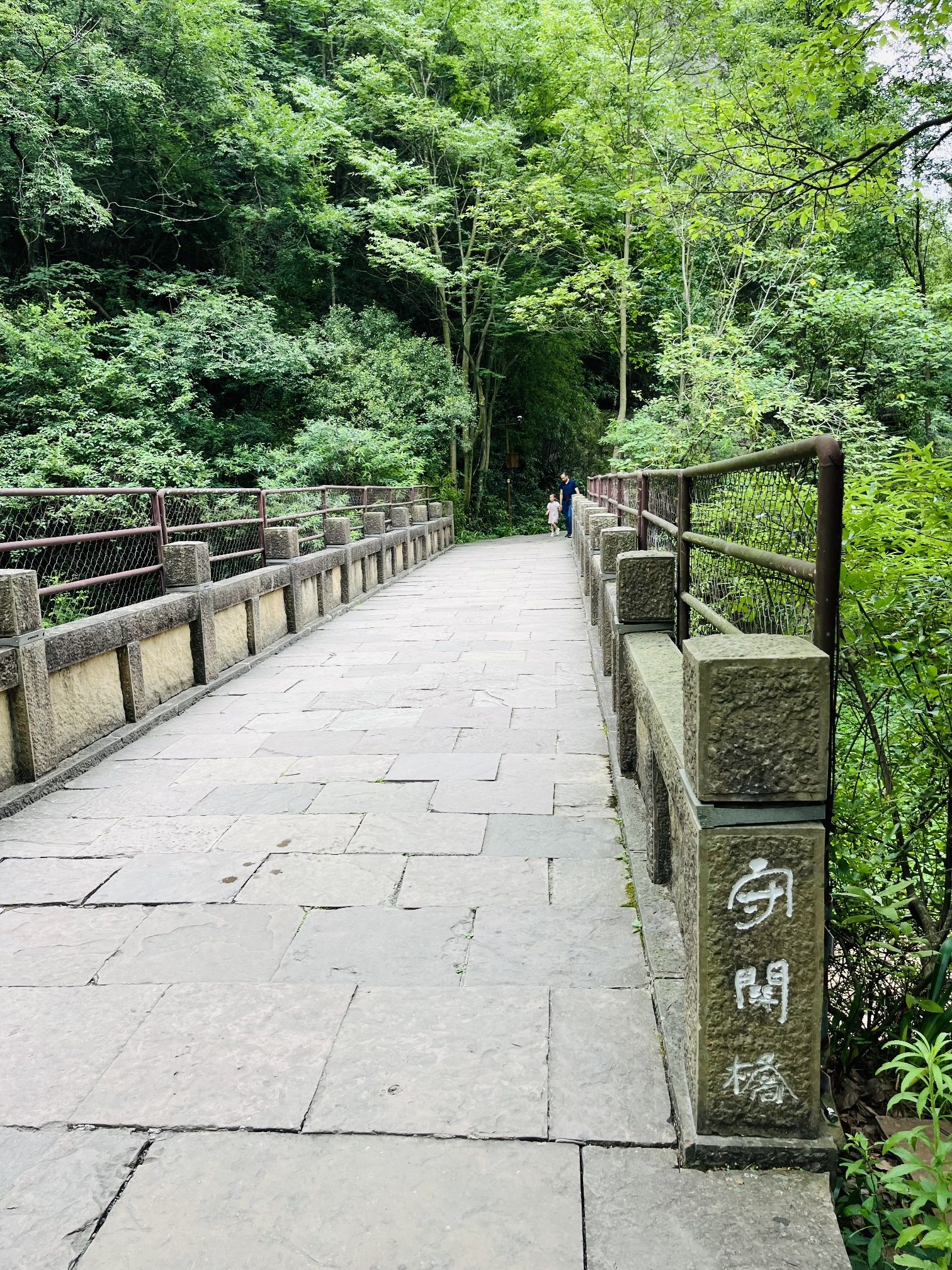 剑门关国家森林公园旅行图片 2