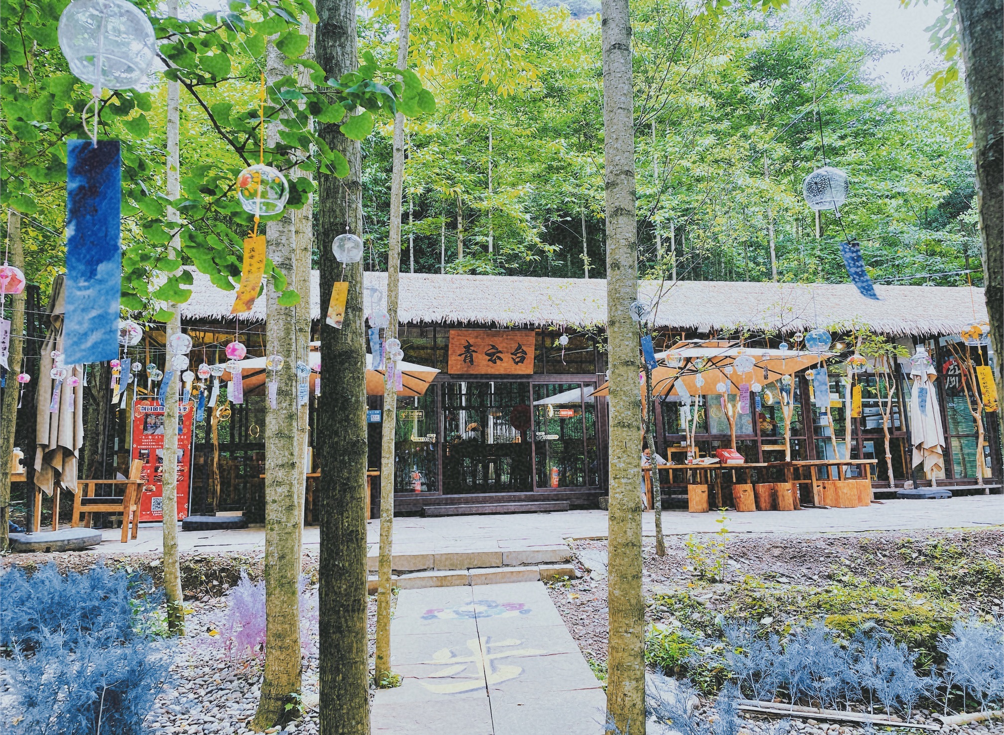 剑门关国家森林公园旅行图片 2