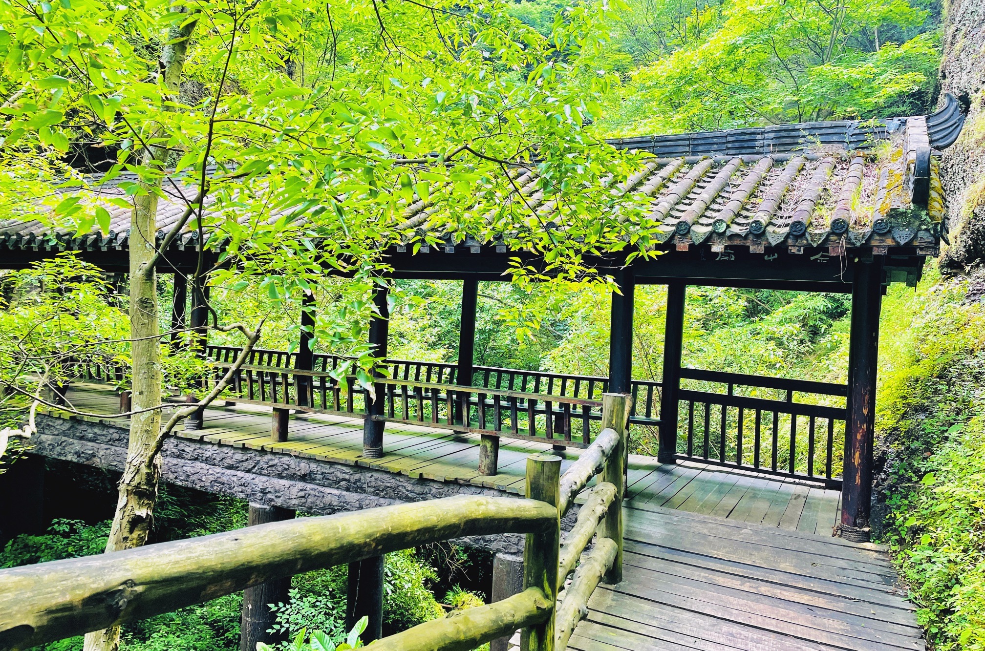 剑门关国家森林公园旅行图片 3