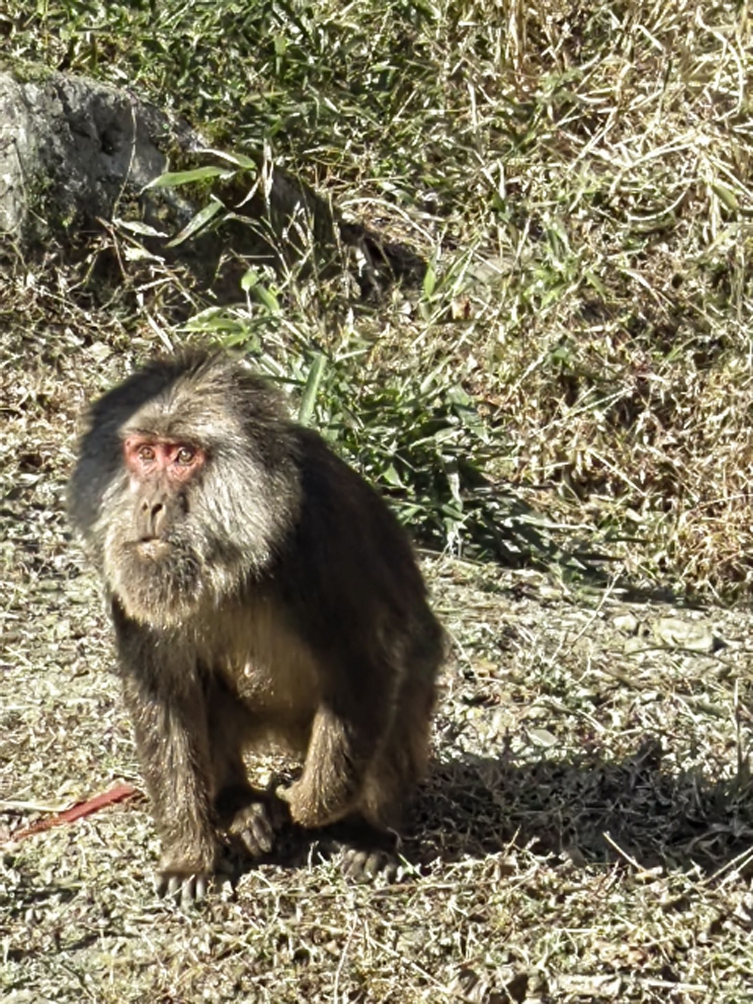 四川唐家河国家级自然保护区旅行图片 3