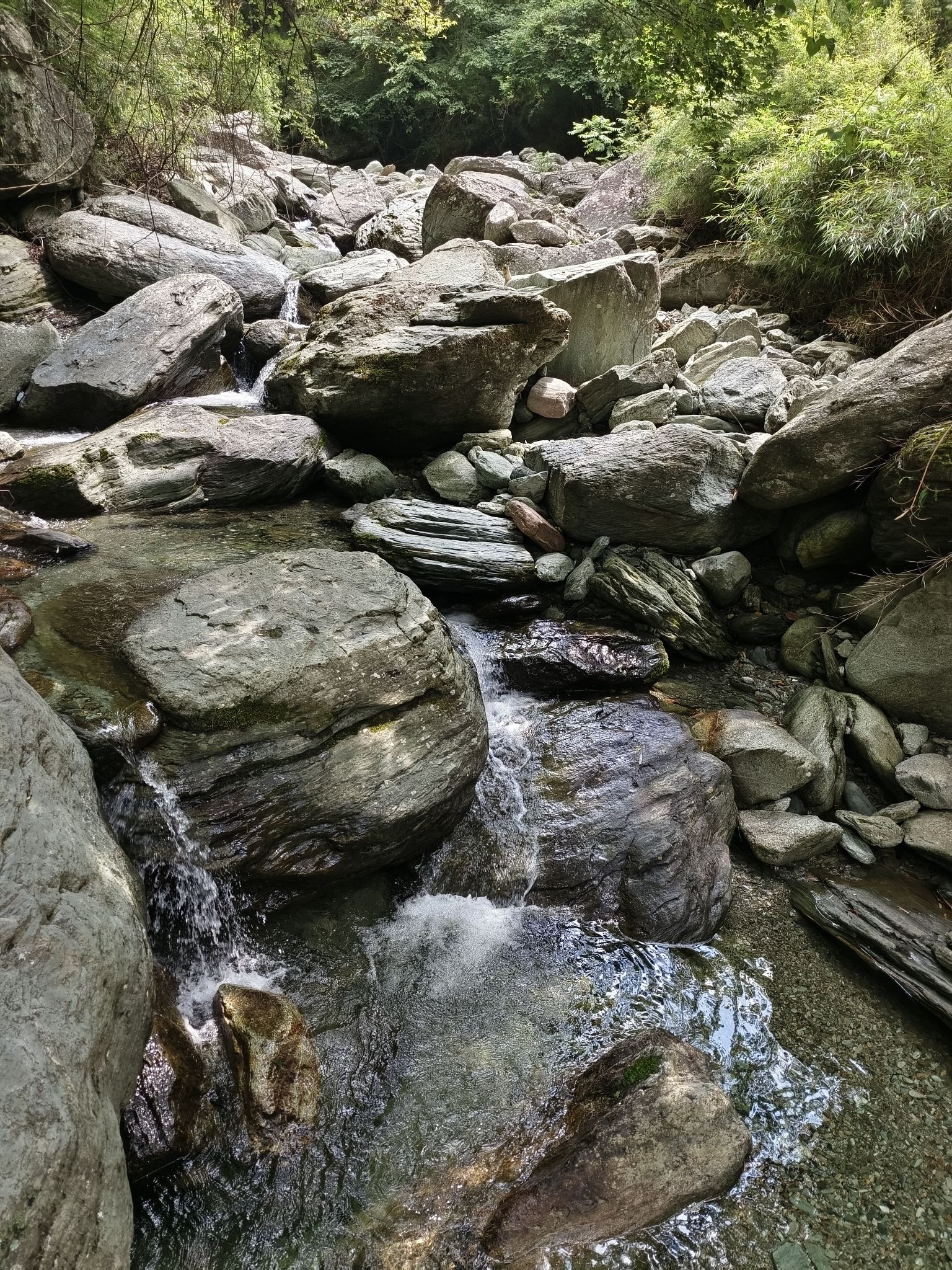 四川唐家河国家级自然保护区旅行图片 3