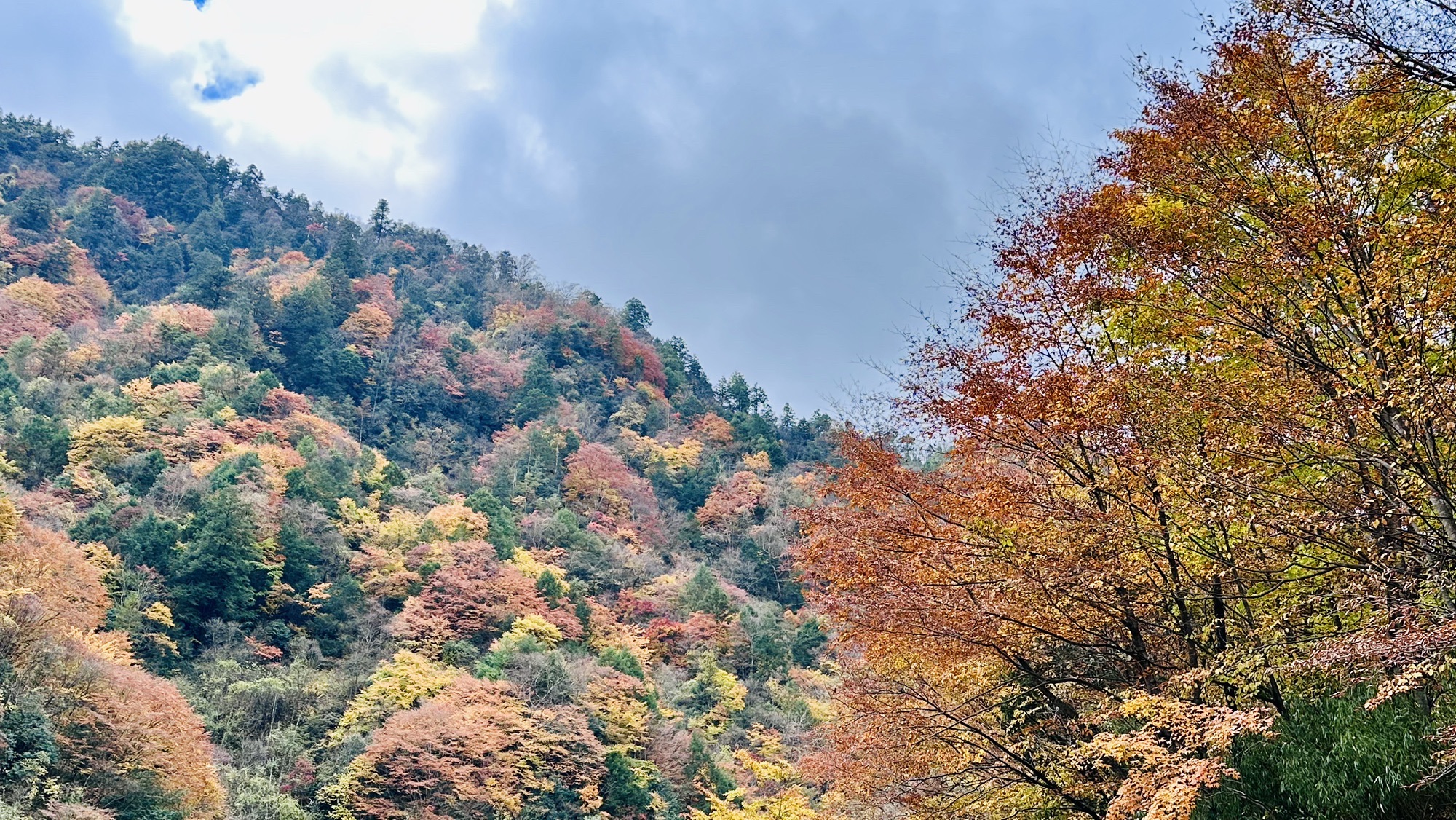 四川唐家河国家级自然保护区旅行图片 2
