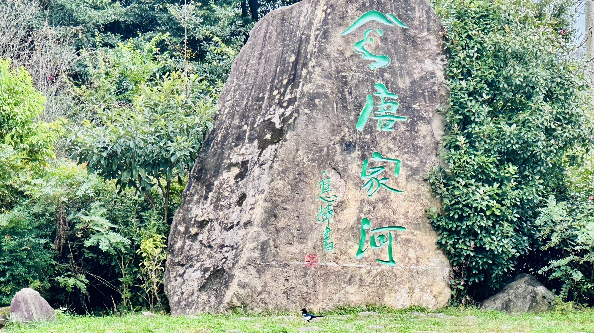 四川唐家河国家级自然保护区旅行图片 1