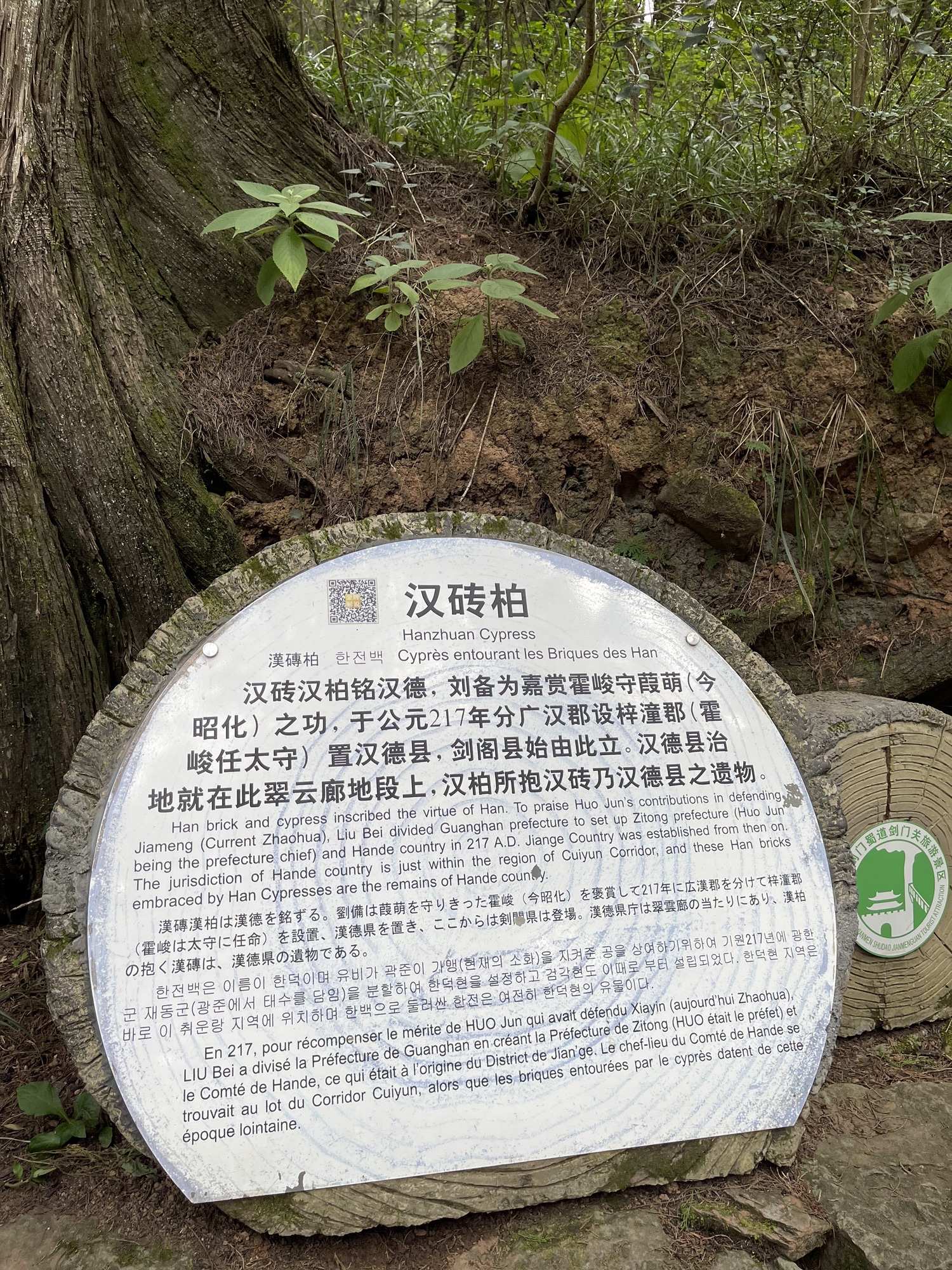 翠云廊旅行图片 2
