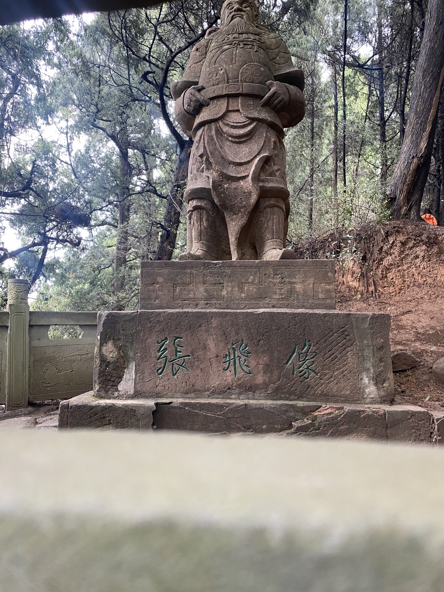翠云廊旅行图片 3