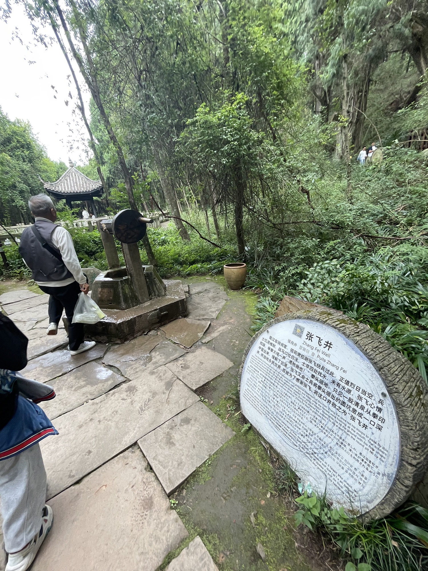 翠云廊旅行图片 1