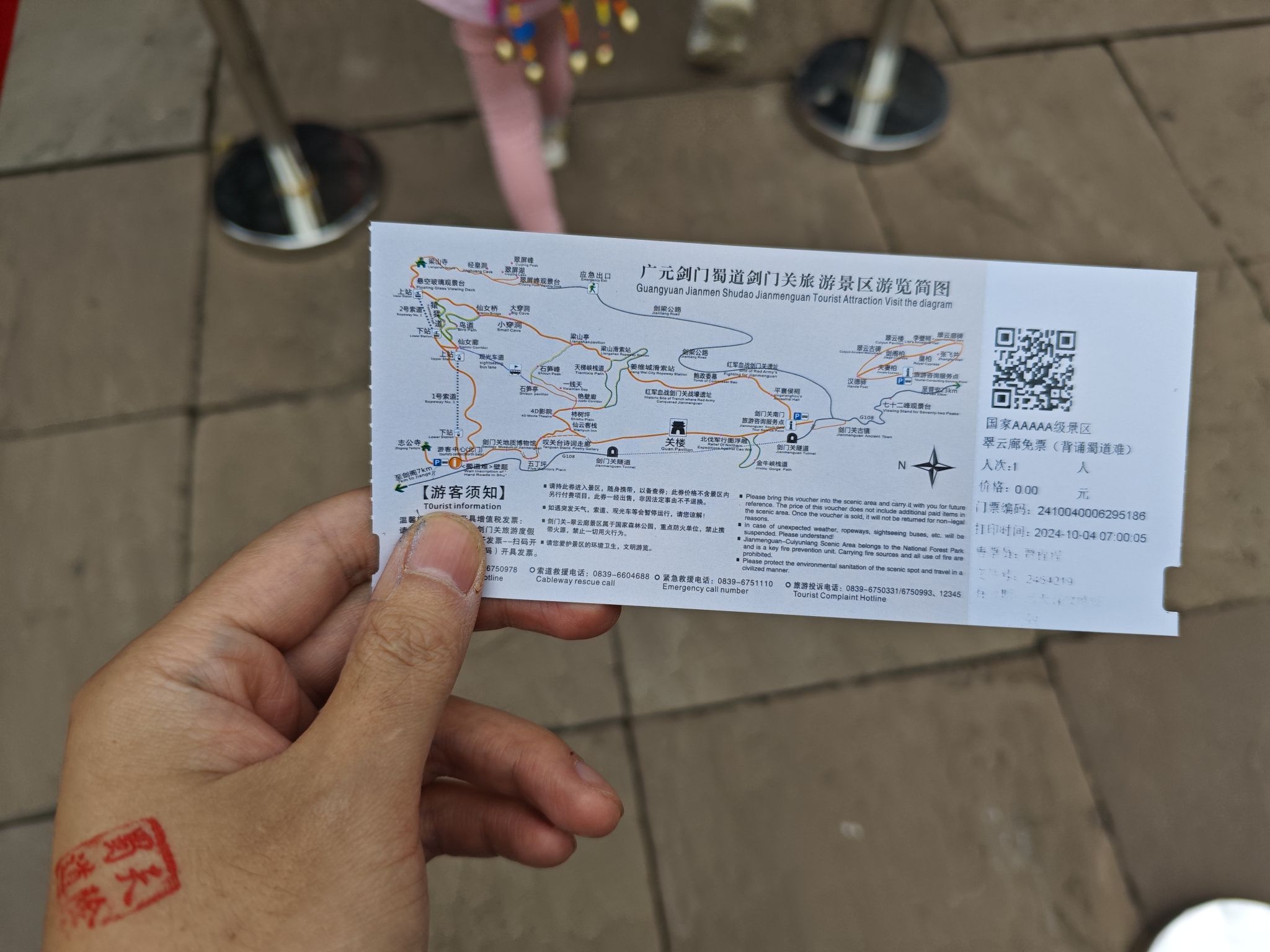 翠云廊旅行图片 3