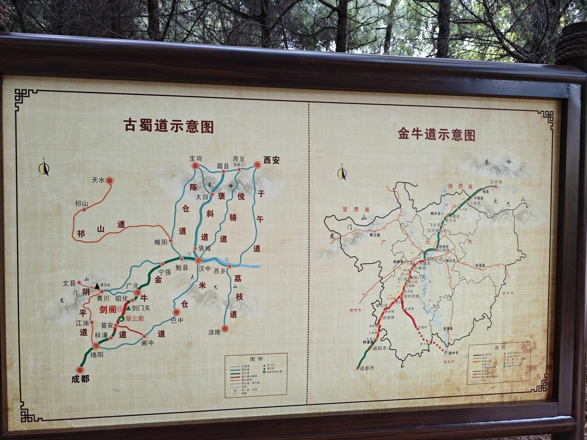 翠云廊旅行图片 2