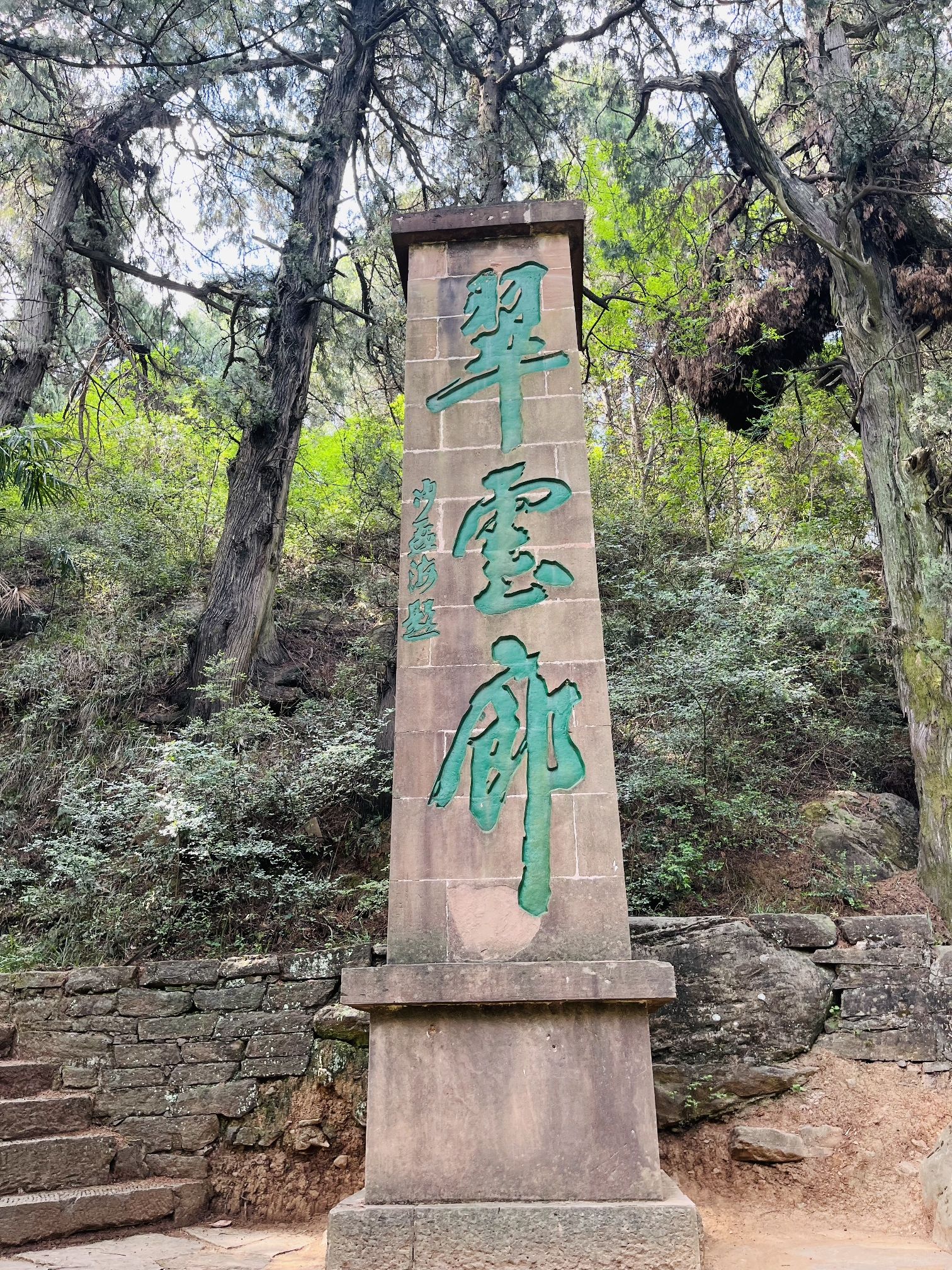翠云廊旅行图片 1