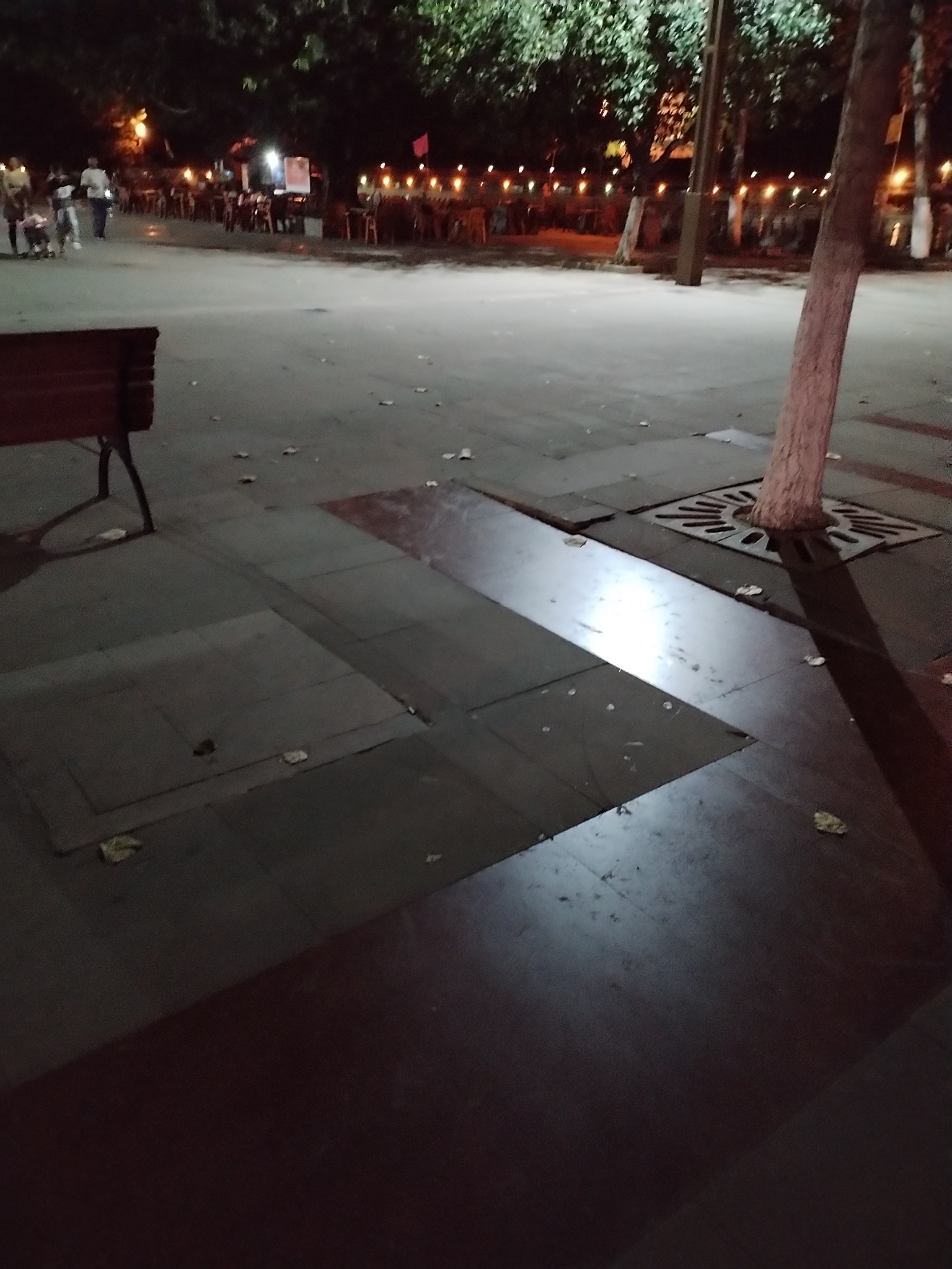 嘉陵广场旅行图片 1
