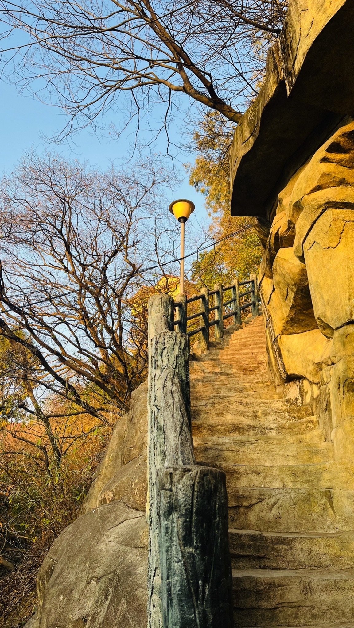 凤凰山公园旅行图片 1