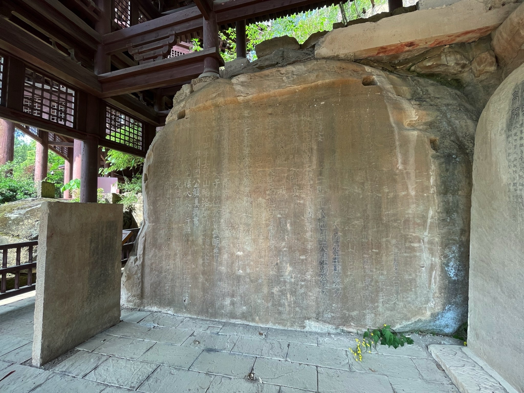 鹤鸣山旅行图片 2