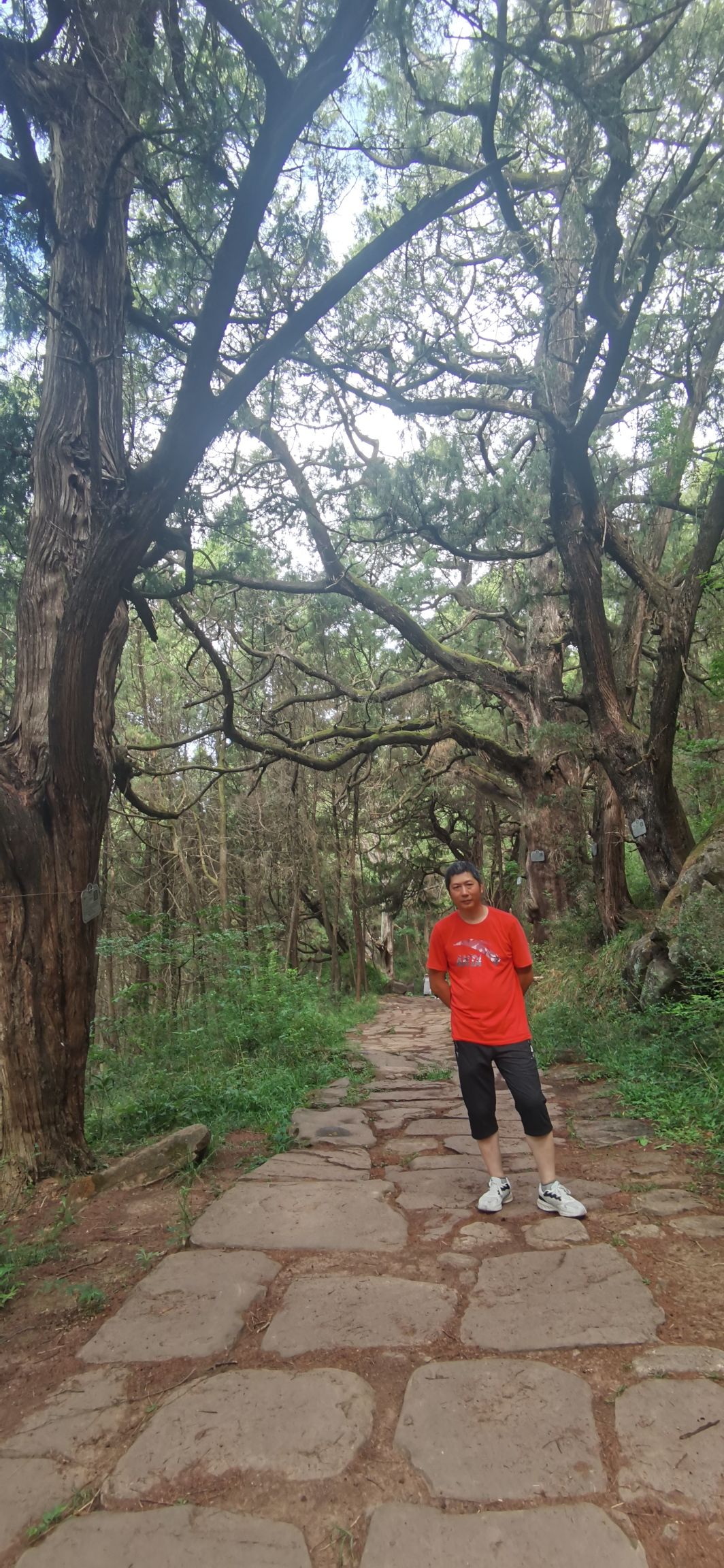 先秦古蜀道旅行图片 1
