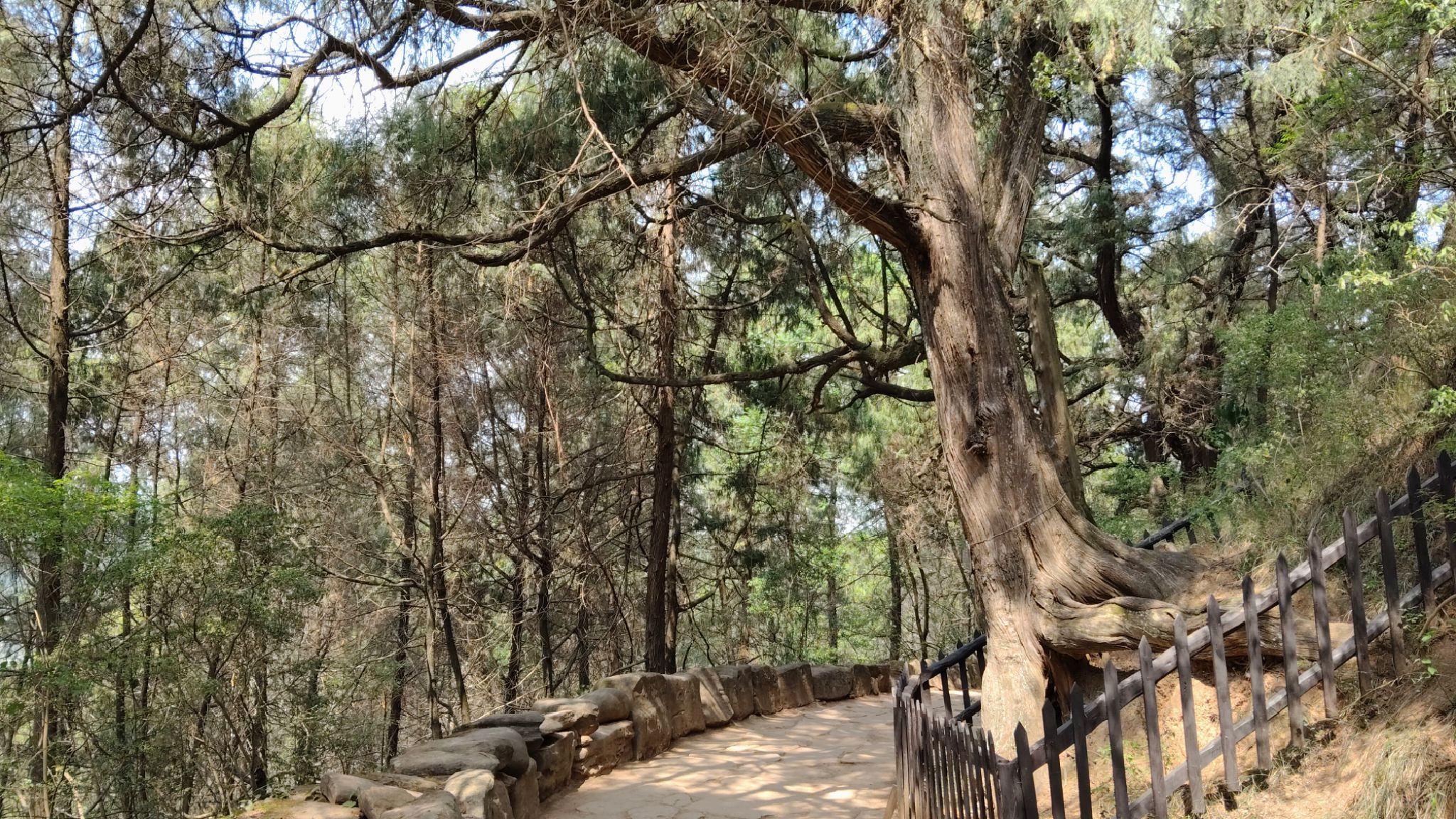 先秦古蜀道旅行图片 1