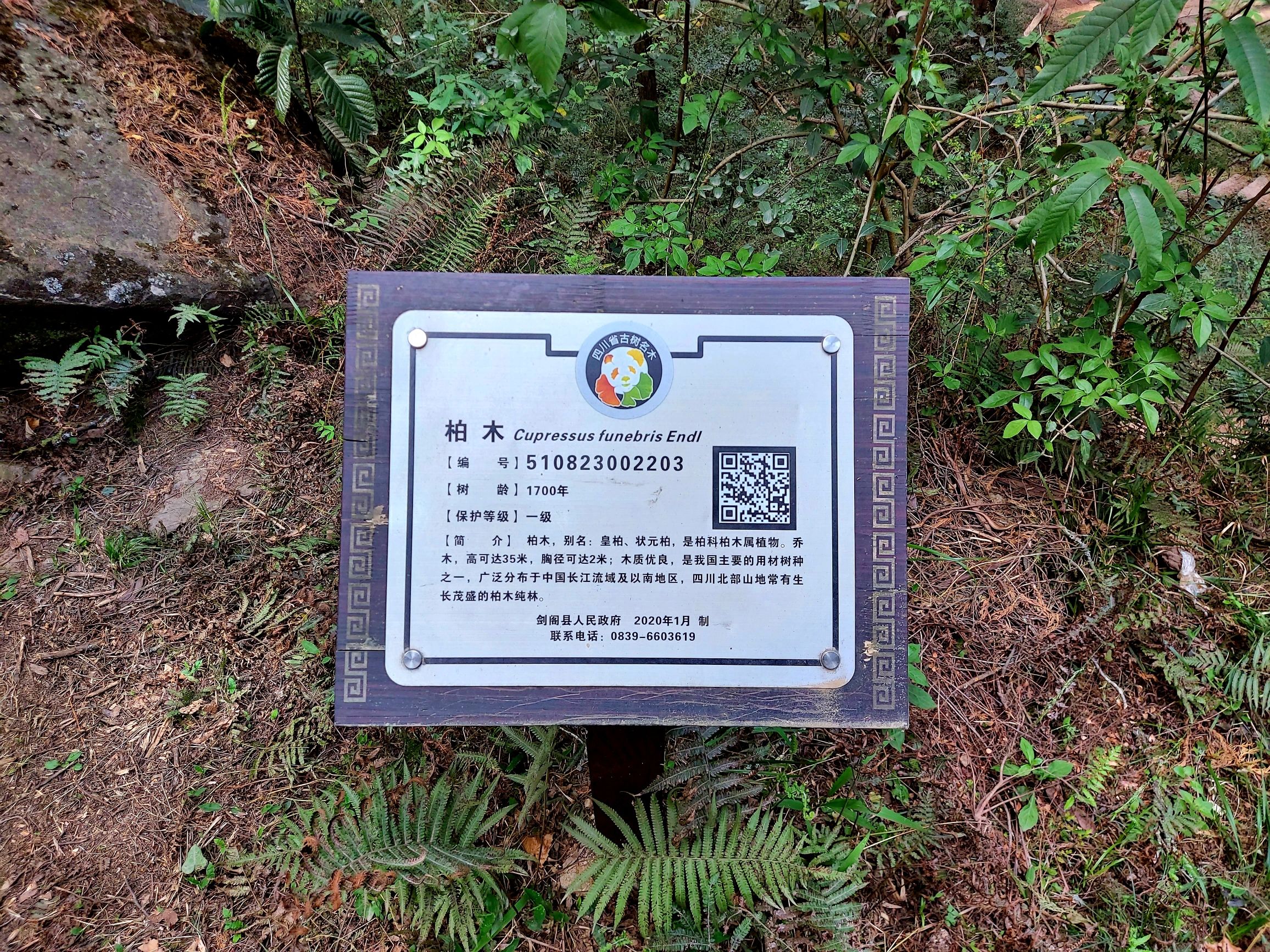 先秦古蜀道旅行图片 2
