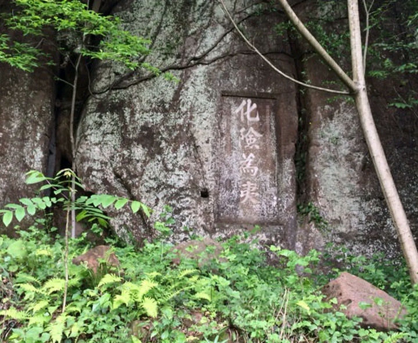 天雄关古蜀道旅行图片 3