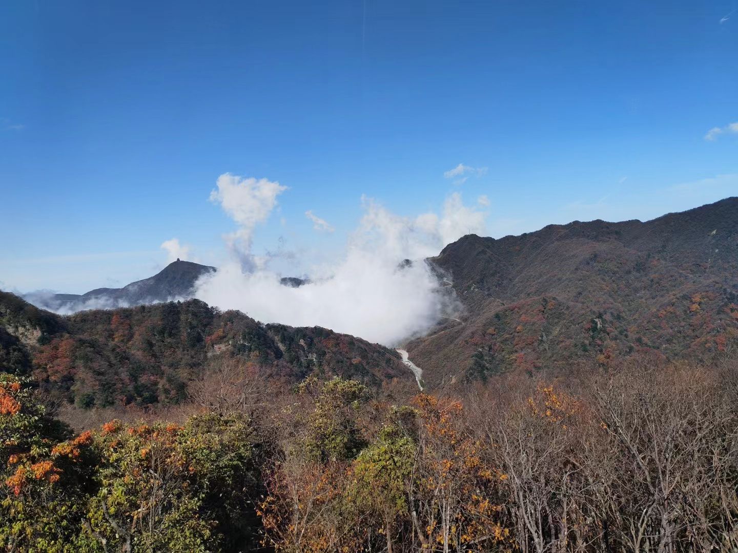 米仓山国家级自然保护区旅行图片 3