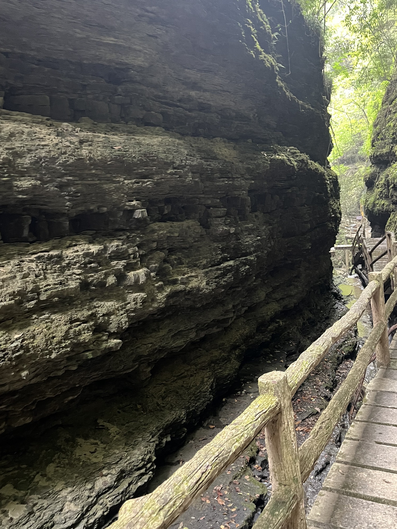 米仓山国家级自然保护区旅行图片 2
