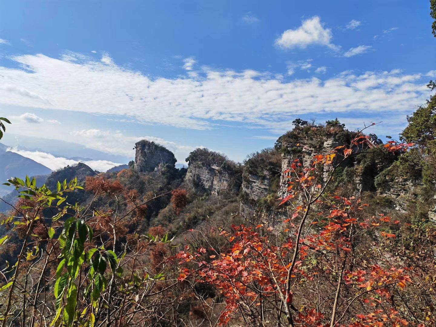 米仓山国家级自然保护区旅行图片 1