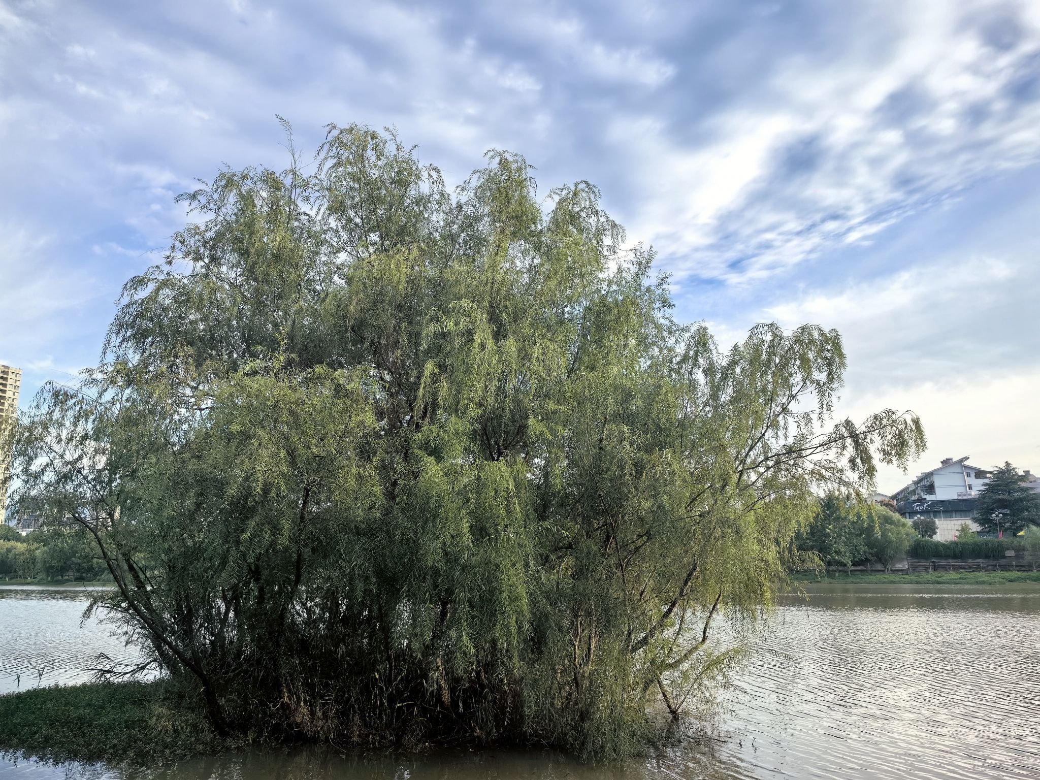 南河湿地公园旅行图片 2