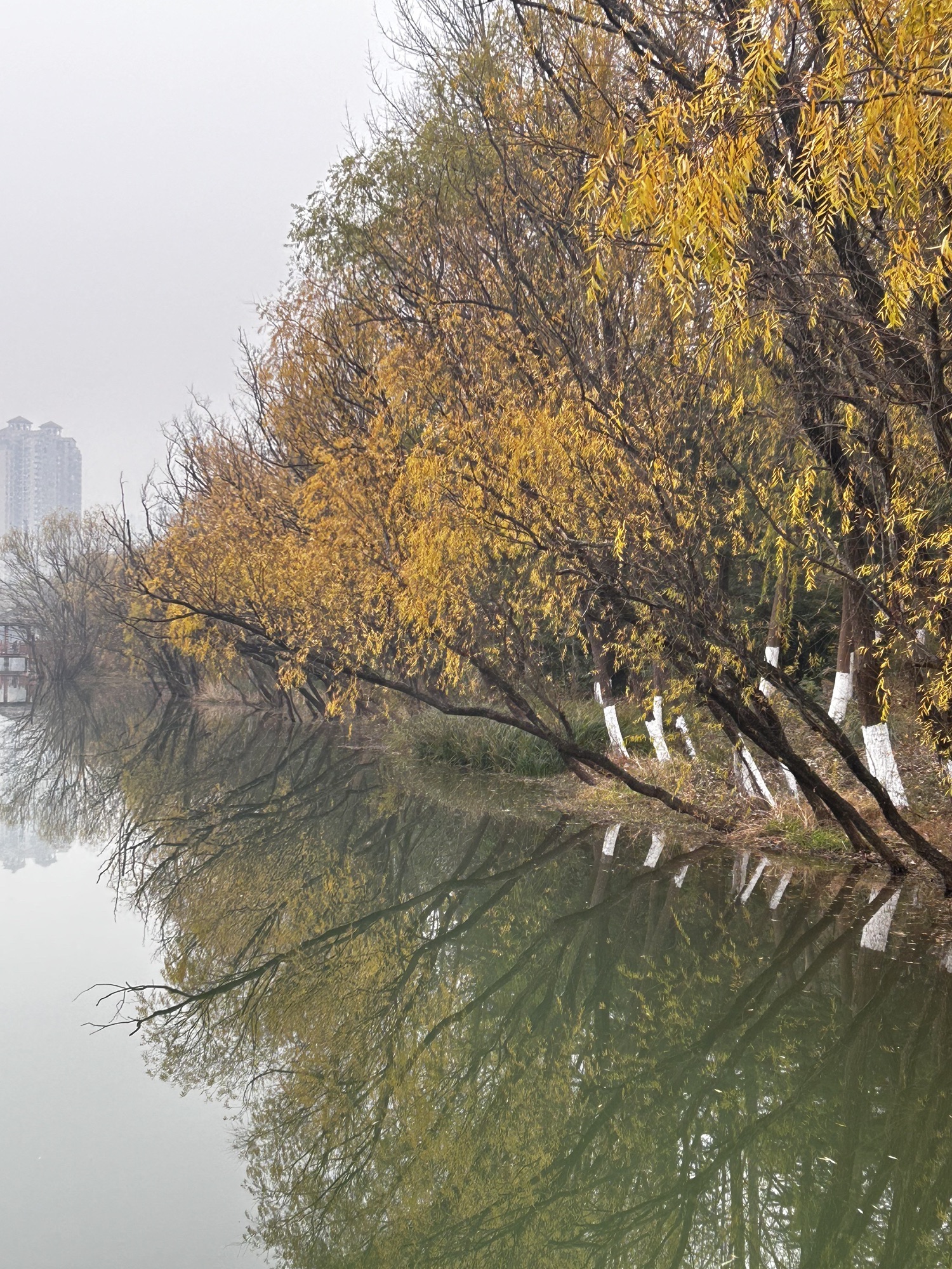 南河湿地公园旅行图片 1