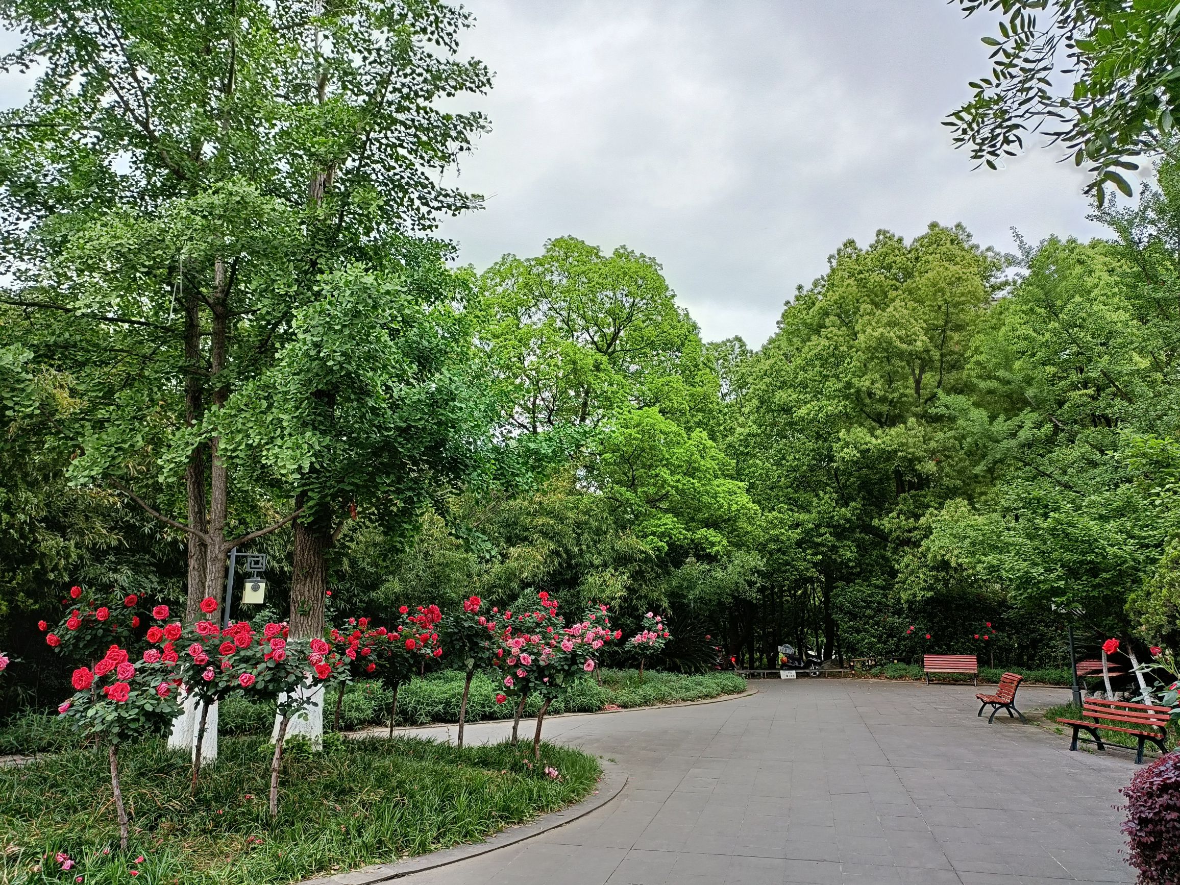 南河湿地公园旅行图片 3