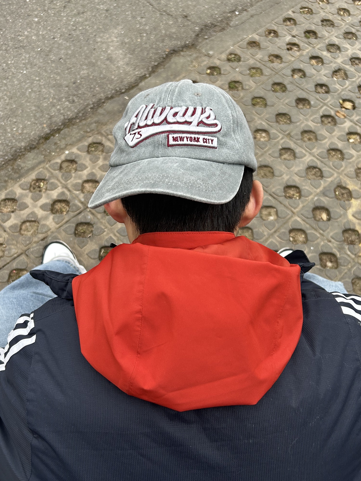 南河湿地公园旅行图片 2